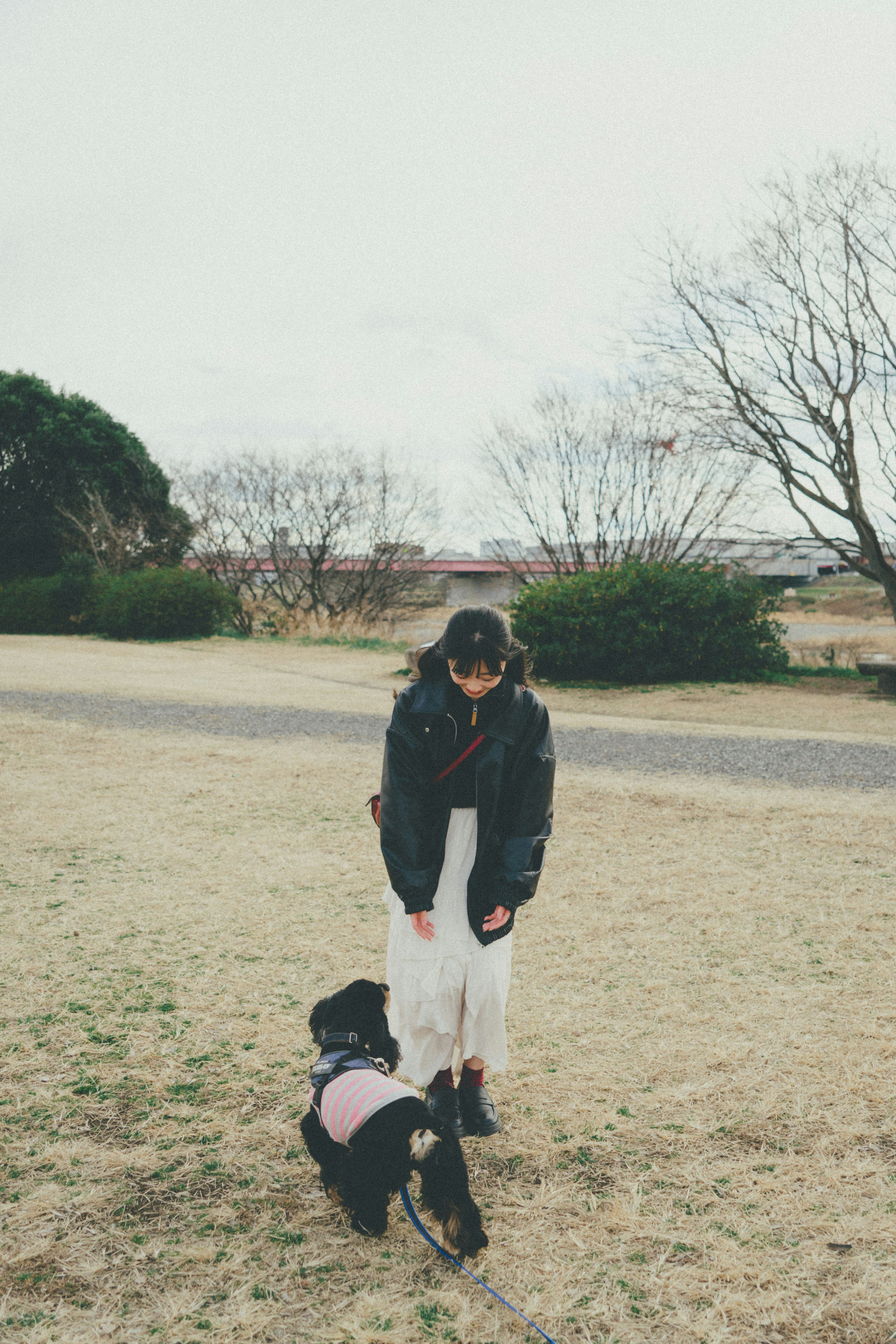 公園で犬を散歩している女性の写真