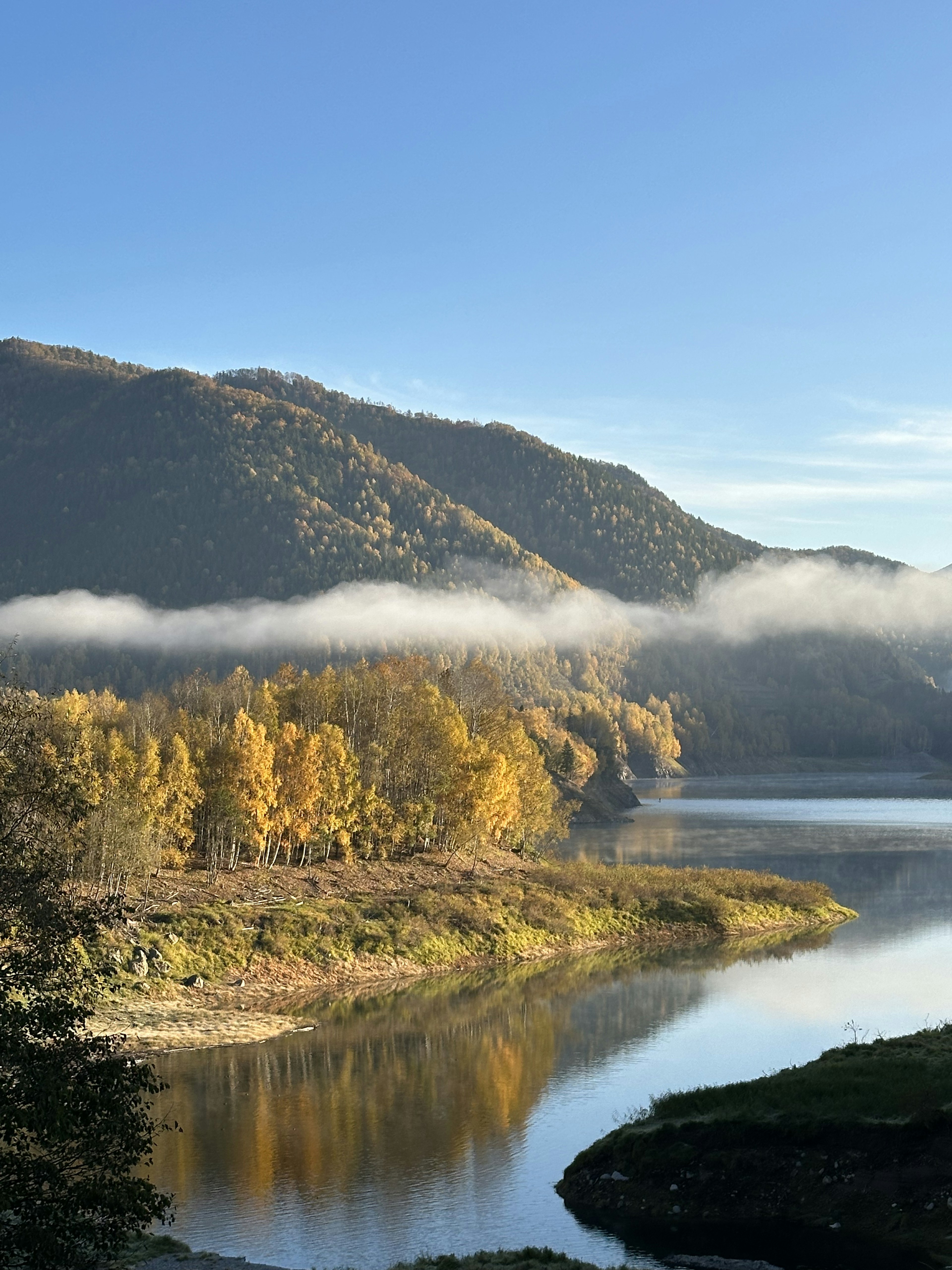 Herbstlandschaft mit leuchtend gelben Bäumen und Nebel über einem Fluss unter einem blauen Himmel