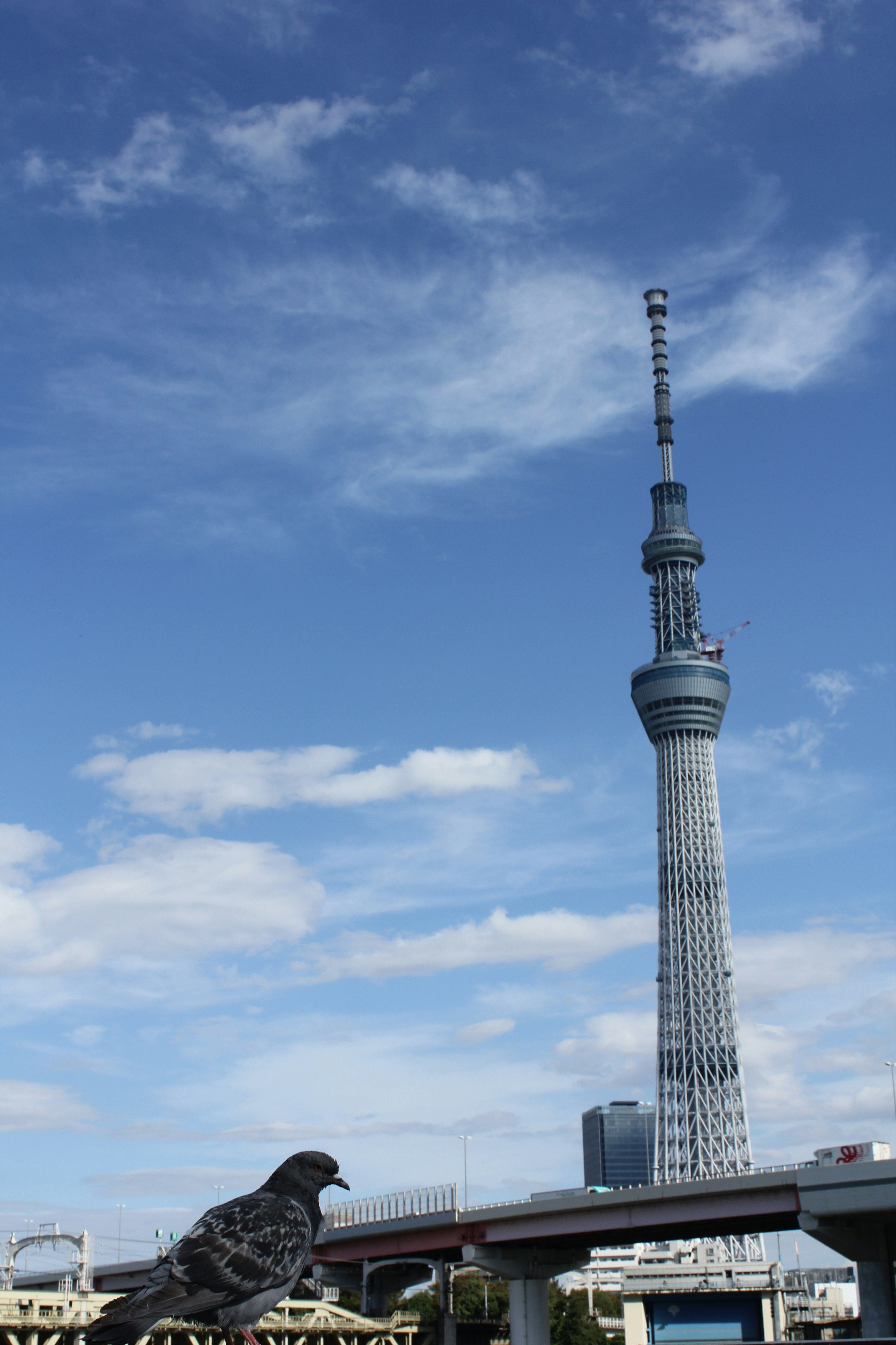 Tokyo Skytree di latar belakang langit biru