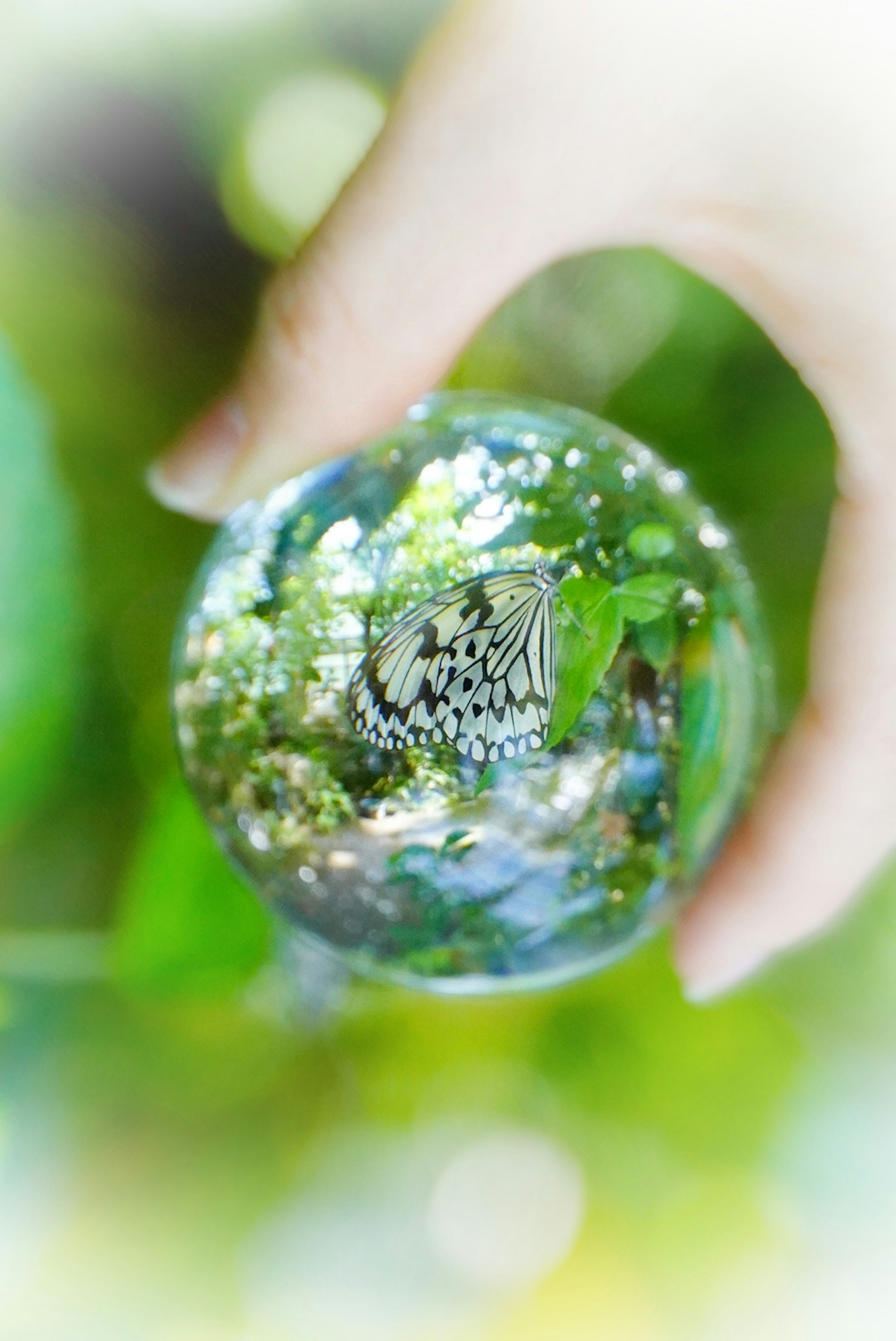 A hand holding a transparent sphere reflecting green plants and water