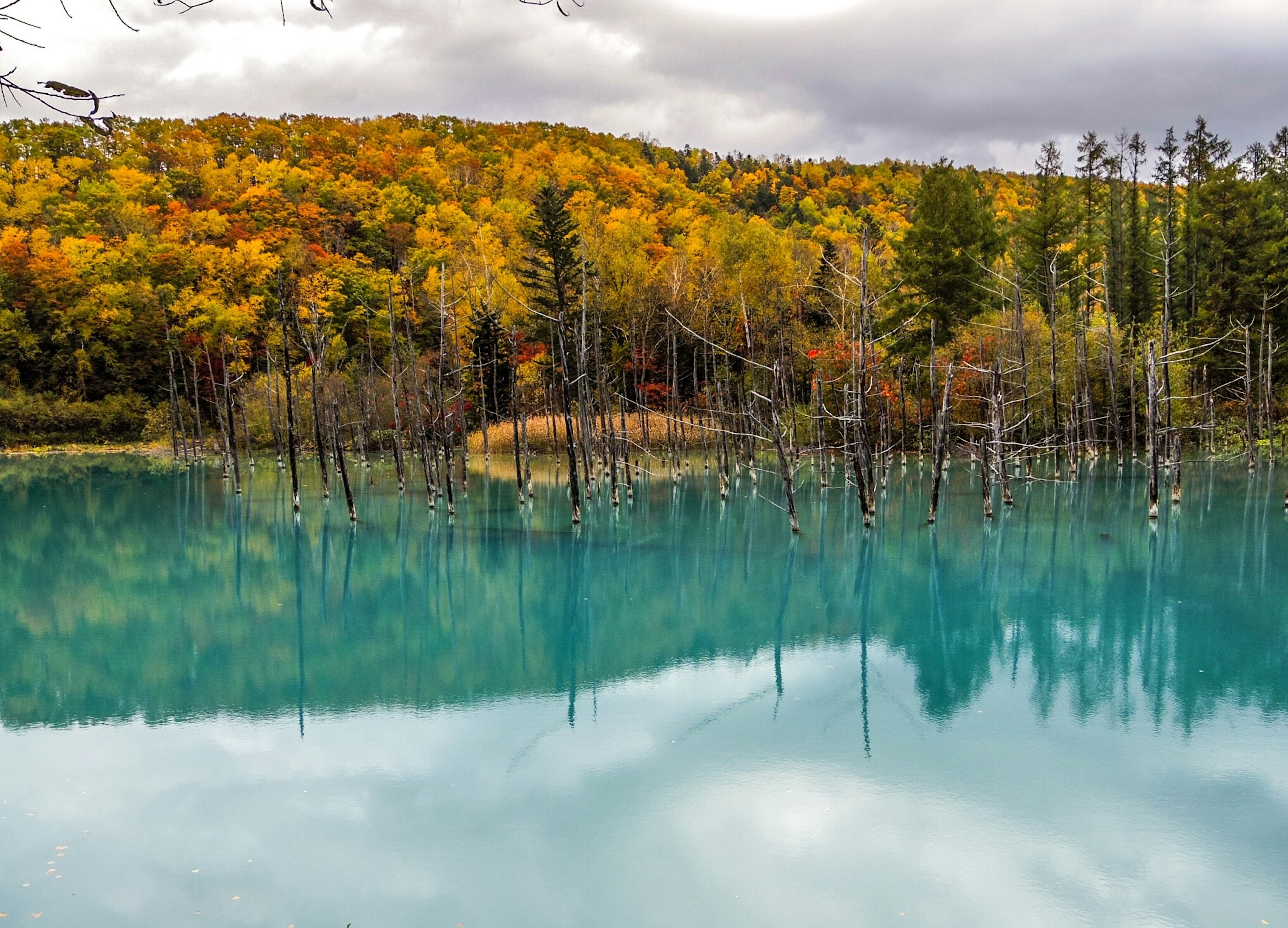 ภาพทิวทัศน์ของน้ำสีฟ้าครามที่สะท้อนใบไม้ในฤดูใบไม้ร่วง