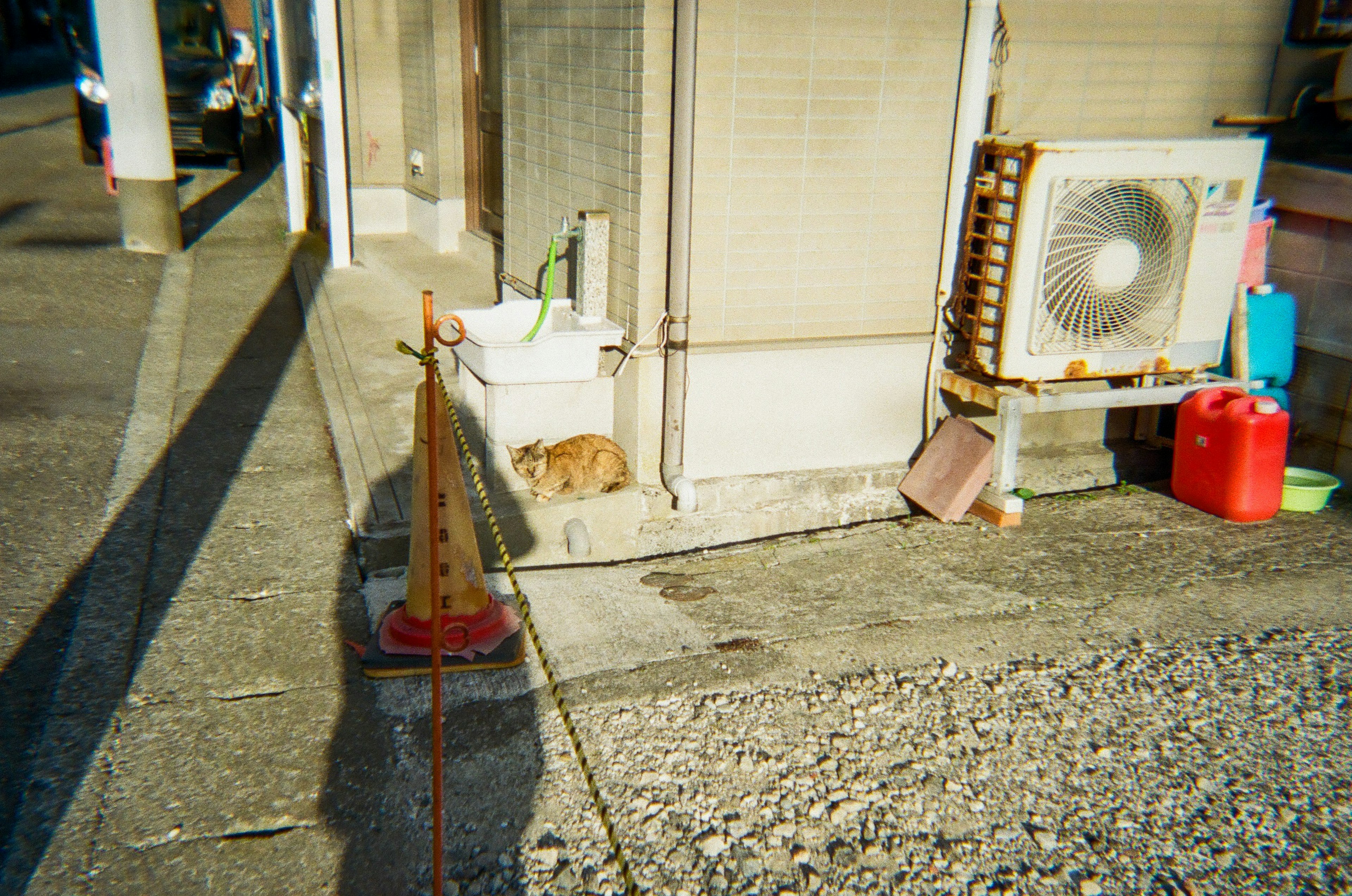 Un gatto che riposa in un angolo vicino a un edificio con vari oggetti nelle vicinanze