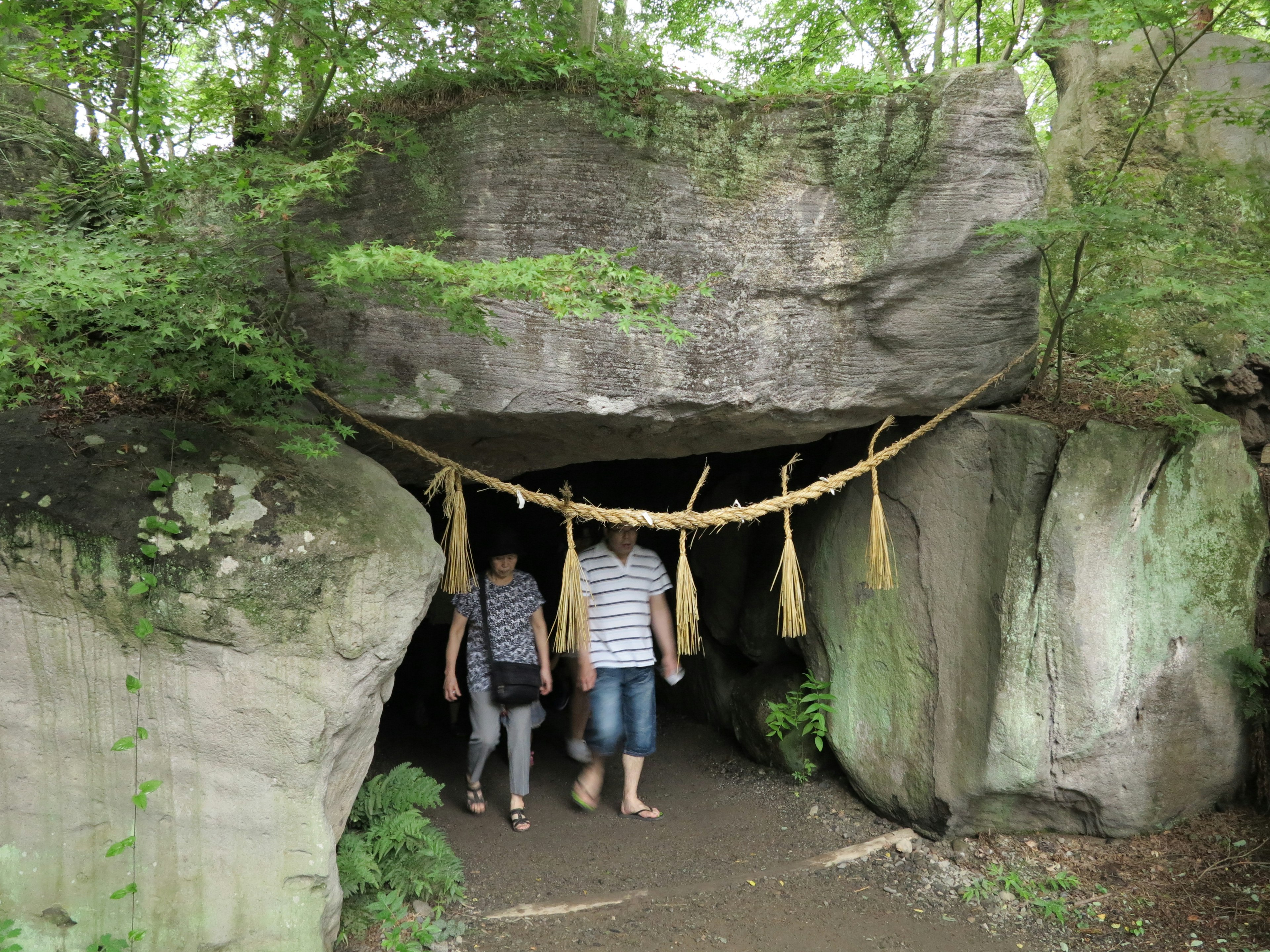 Menschen stehen am Eingang einer Felsenhöhle umgeben von Grün