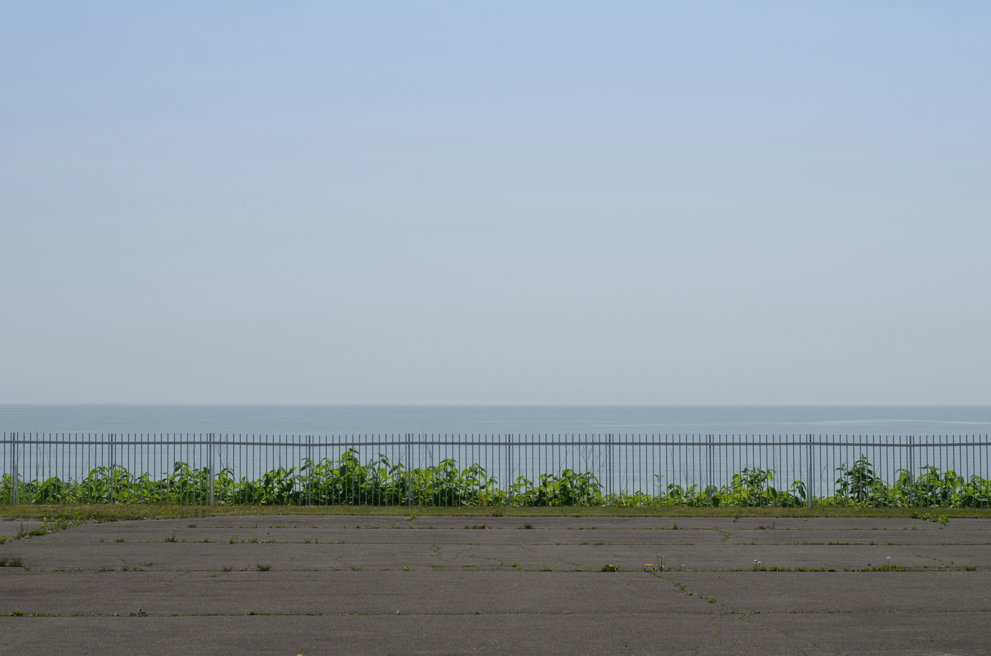 Weitblick auf das blaue Meer und den Himmel mit grünen Pflanzen