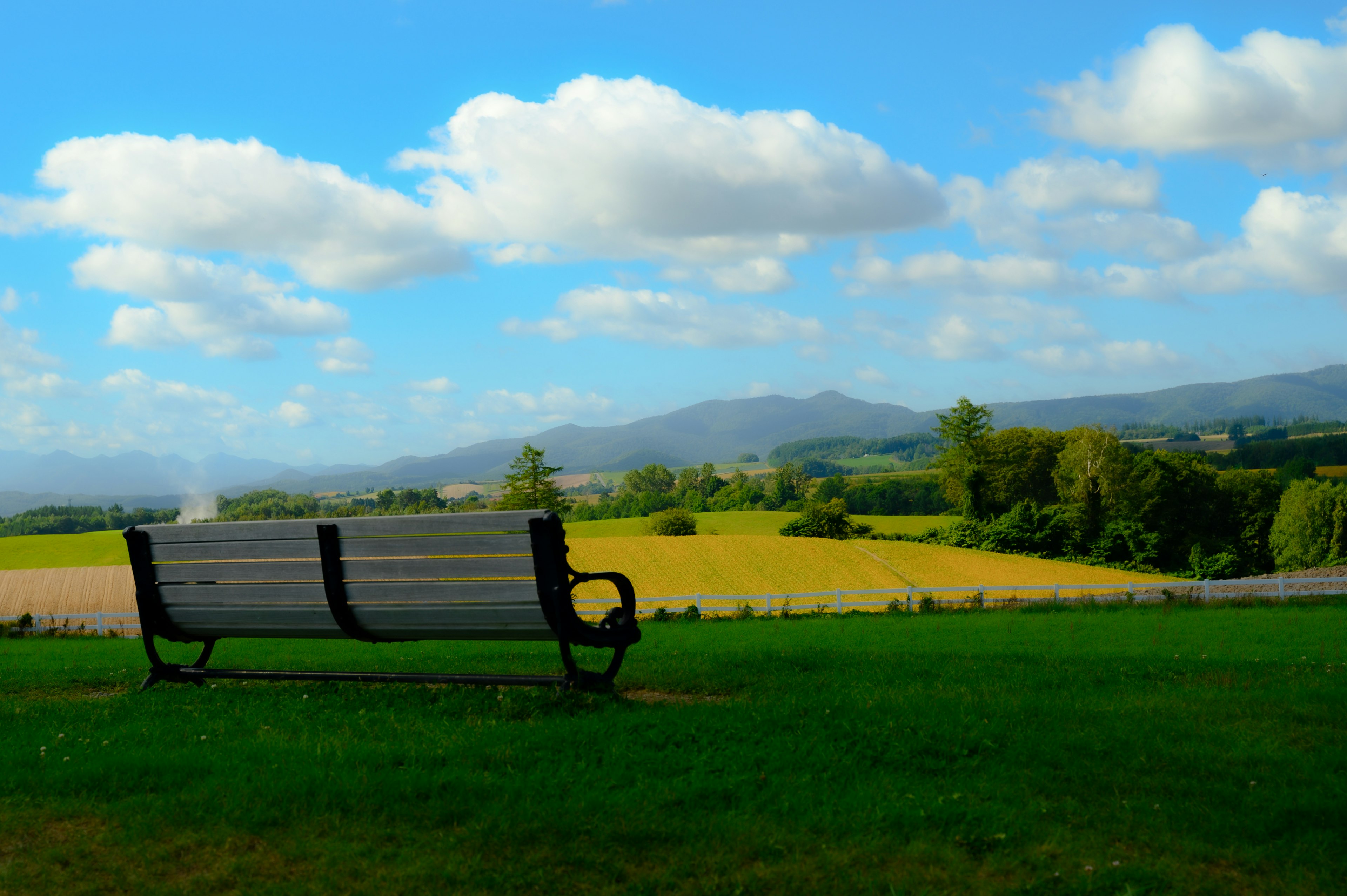 Parkbank mit Blick auf eine malerische Landschaft bei blauem Himmel