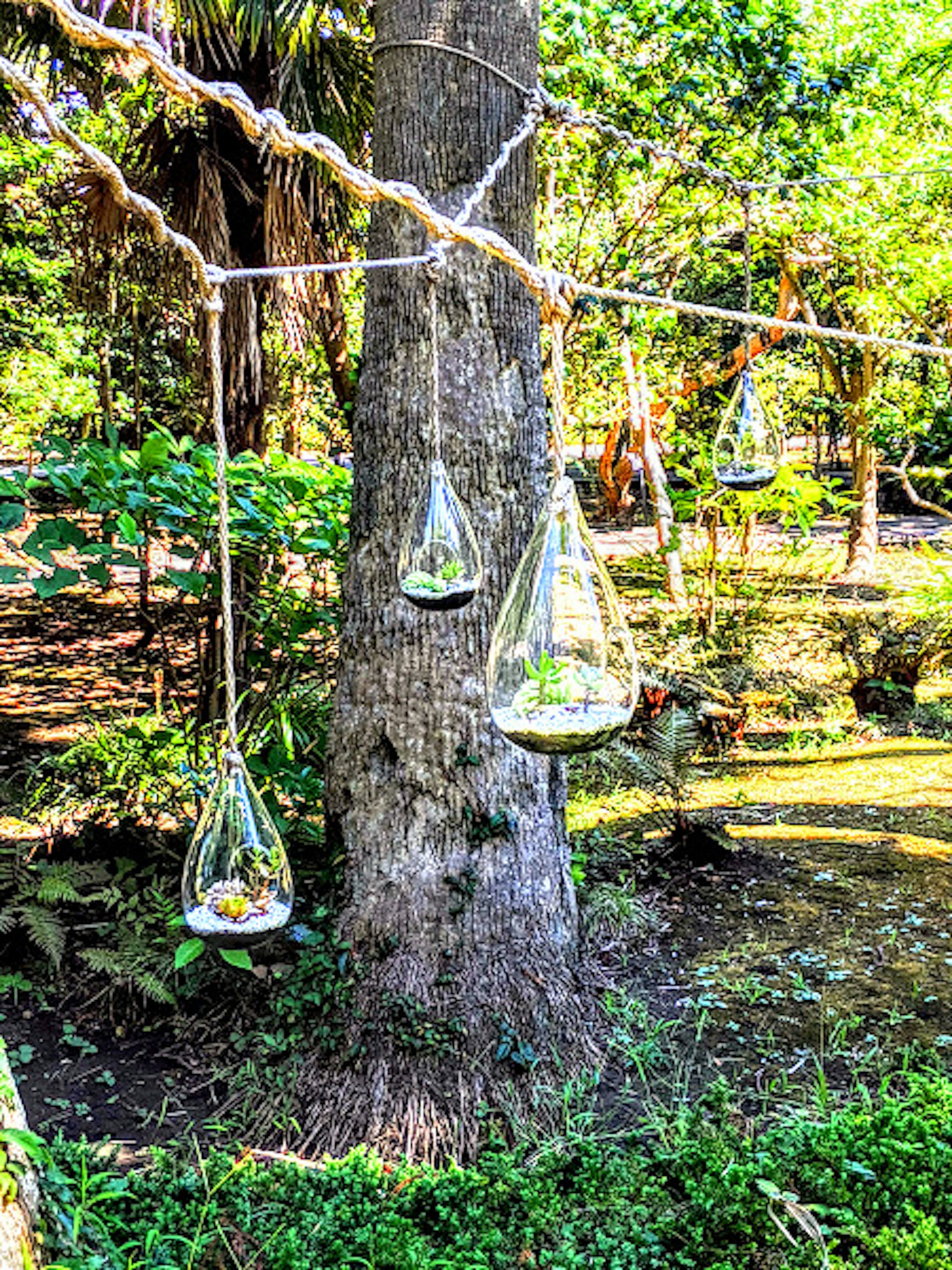 Hanging glass terrariums near a green tree in a lush garden