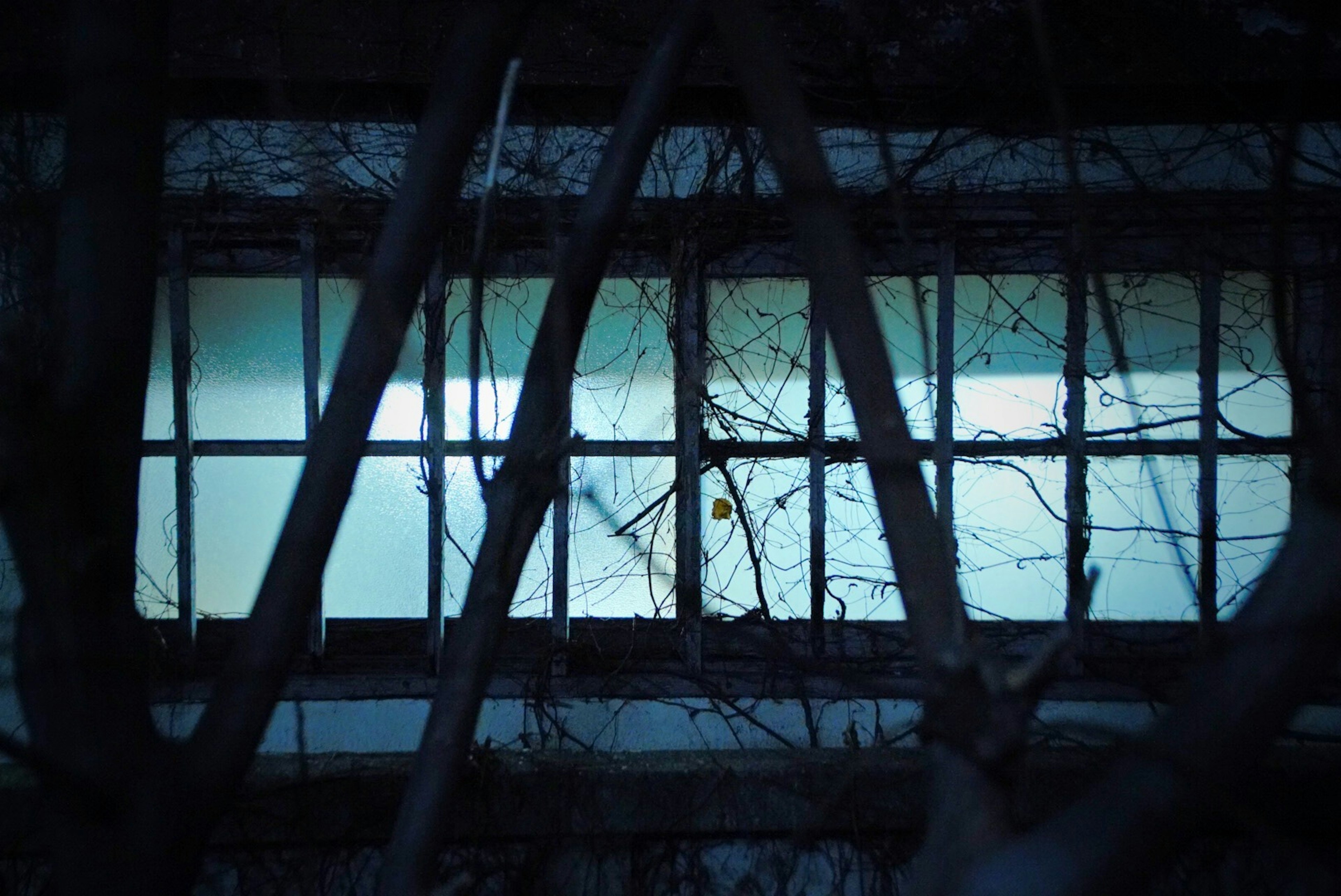 Une fenêtre émettant une lumière bleue sur fond sombre