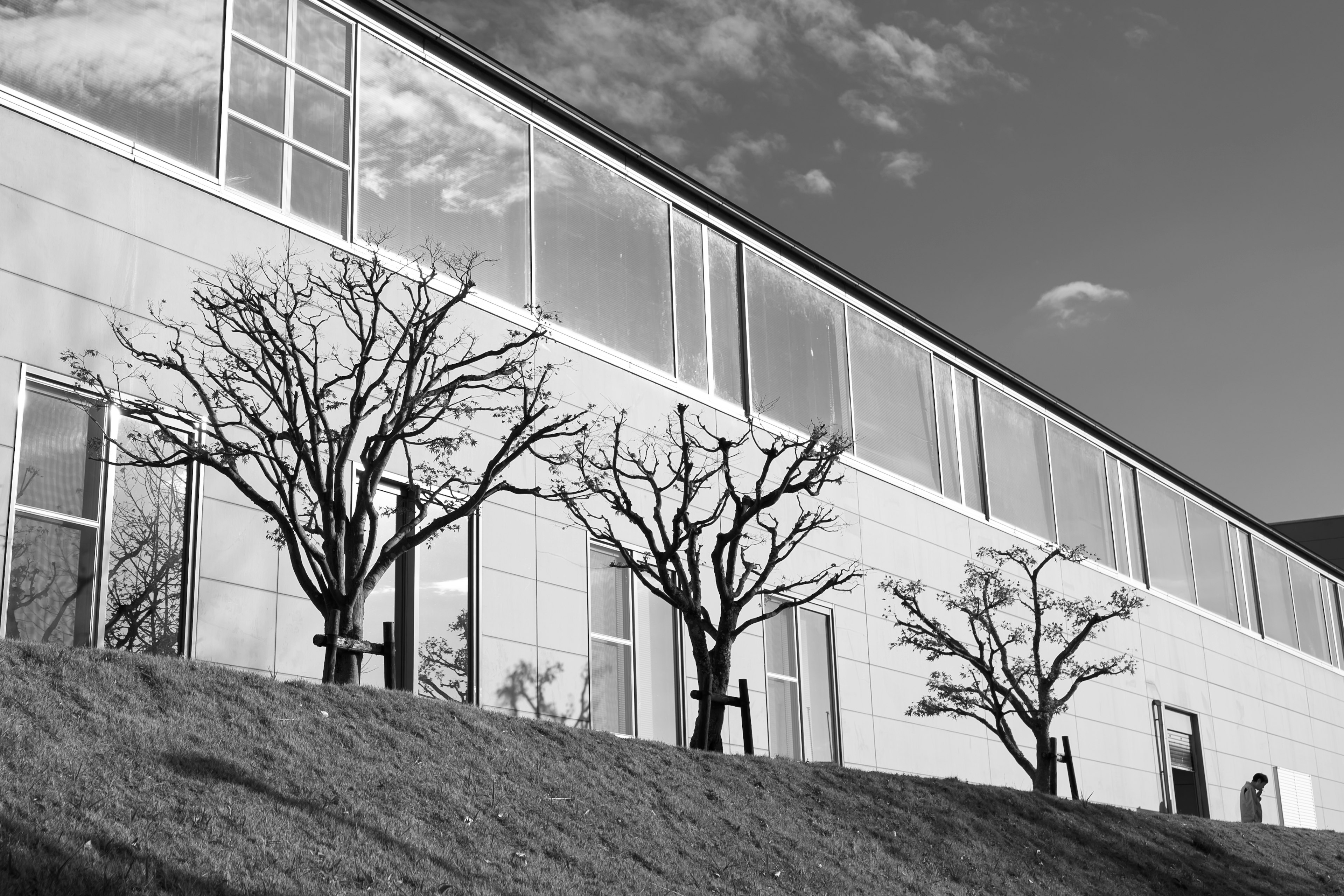 Image en noir et blanc d'un bâtiment moderne avec des arbres en silhouette