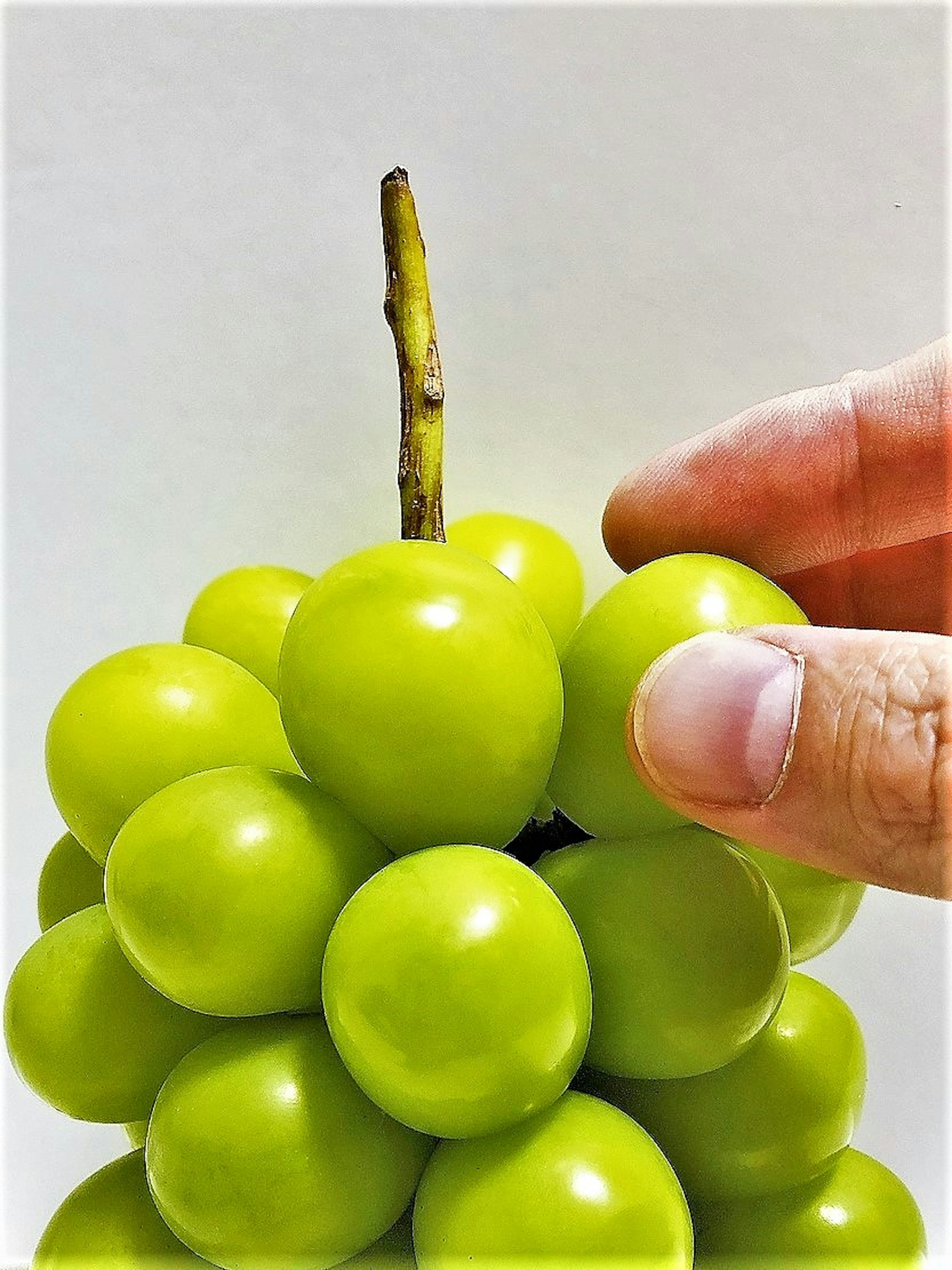 A hand holding a cluster of green grapes with a stem