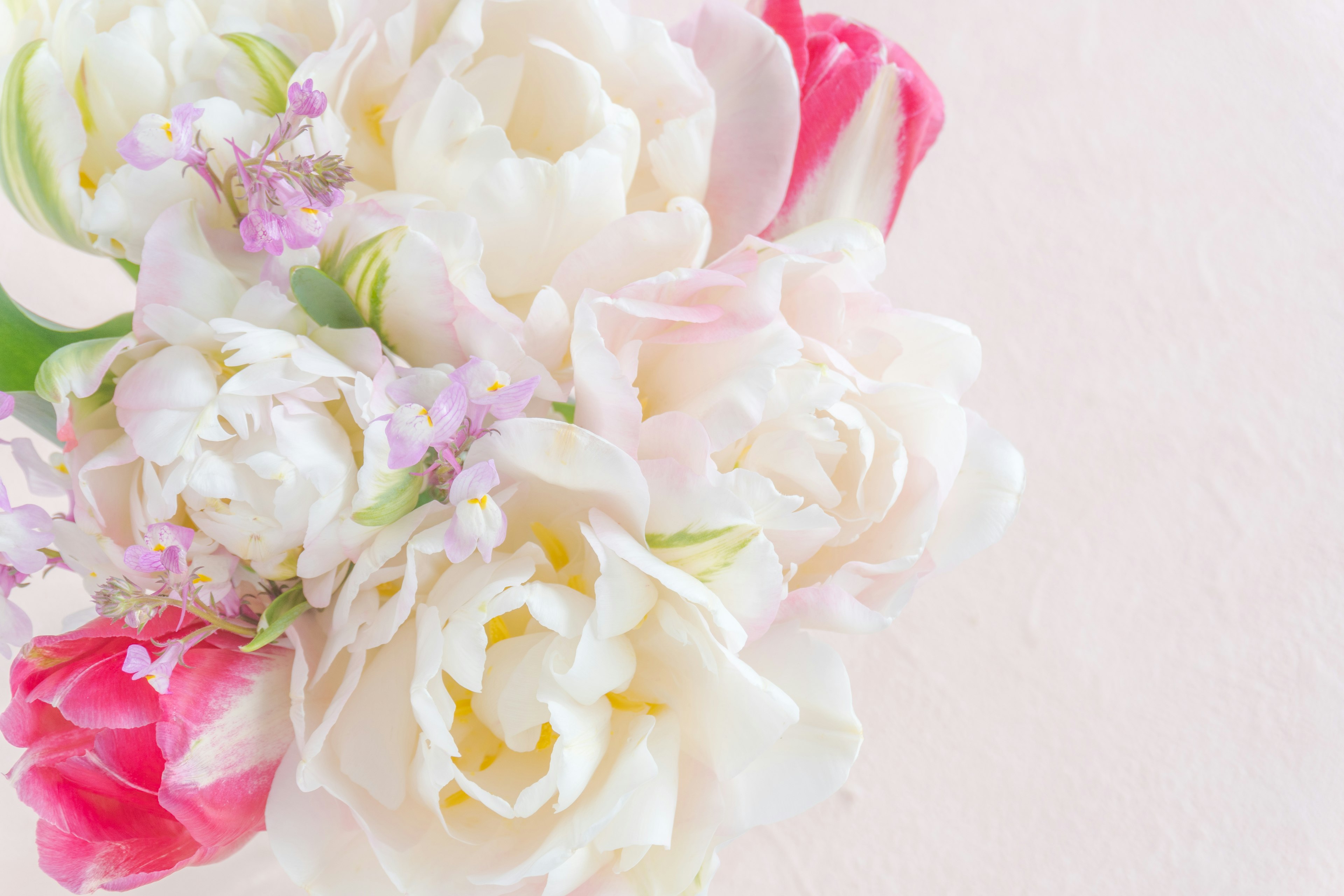 Bouquet of soft-colored flowers featuring pink and white tulips and peonies