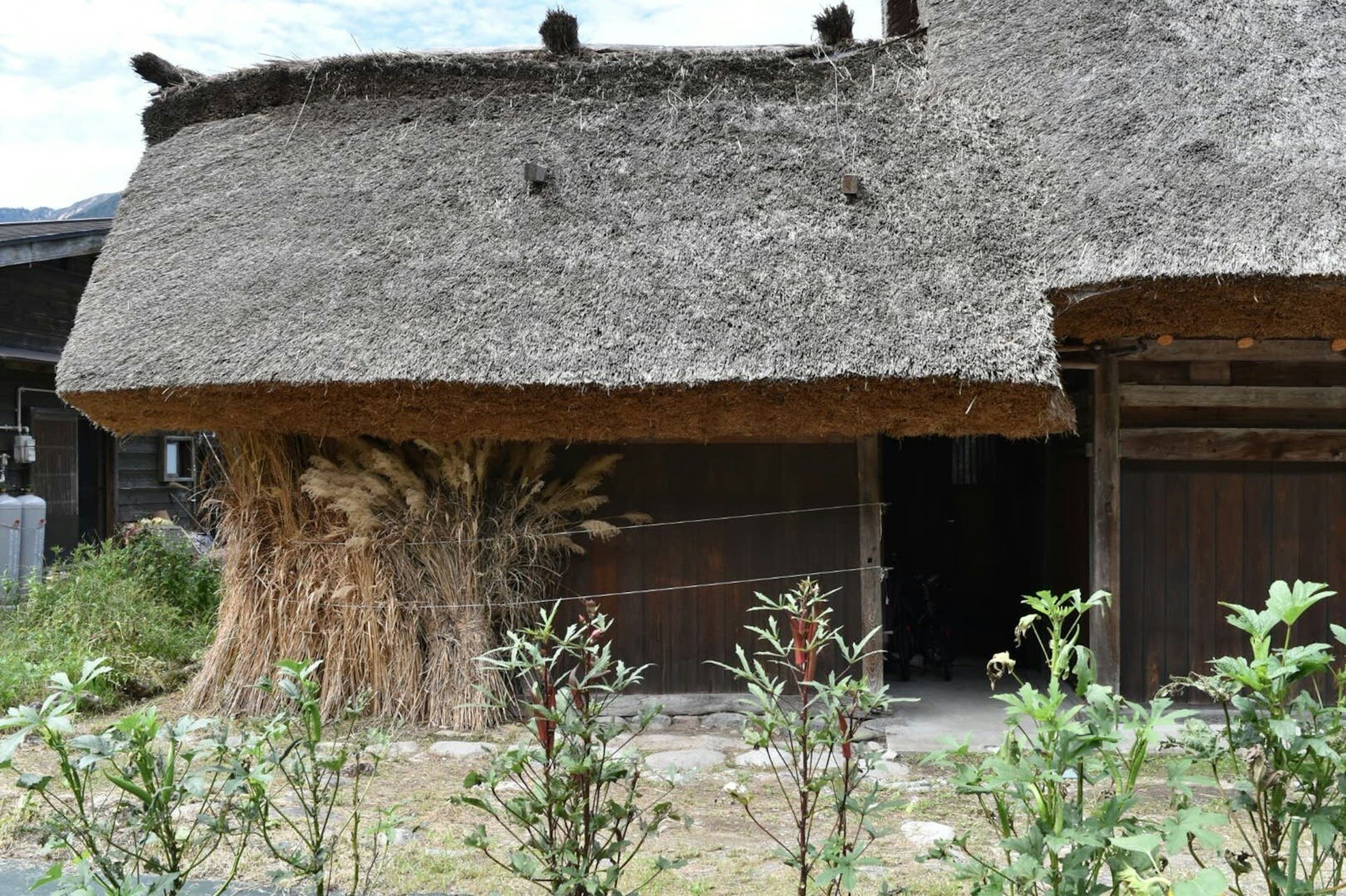 Extérieur d'une maison à toit de chaume traditionnel entouré de plantes vertes