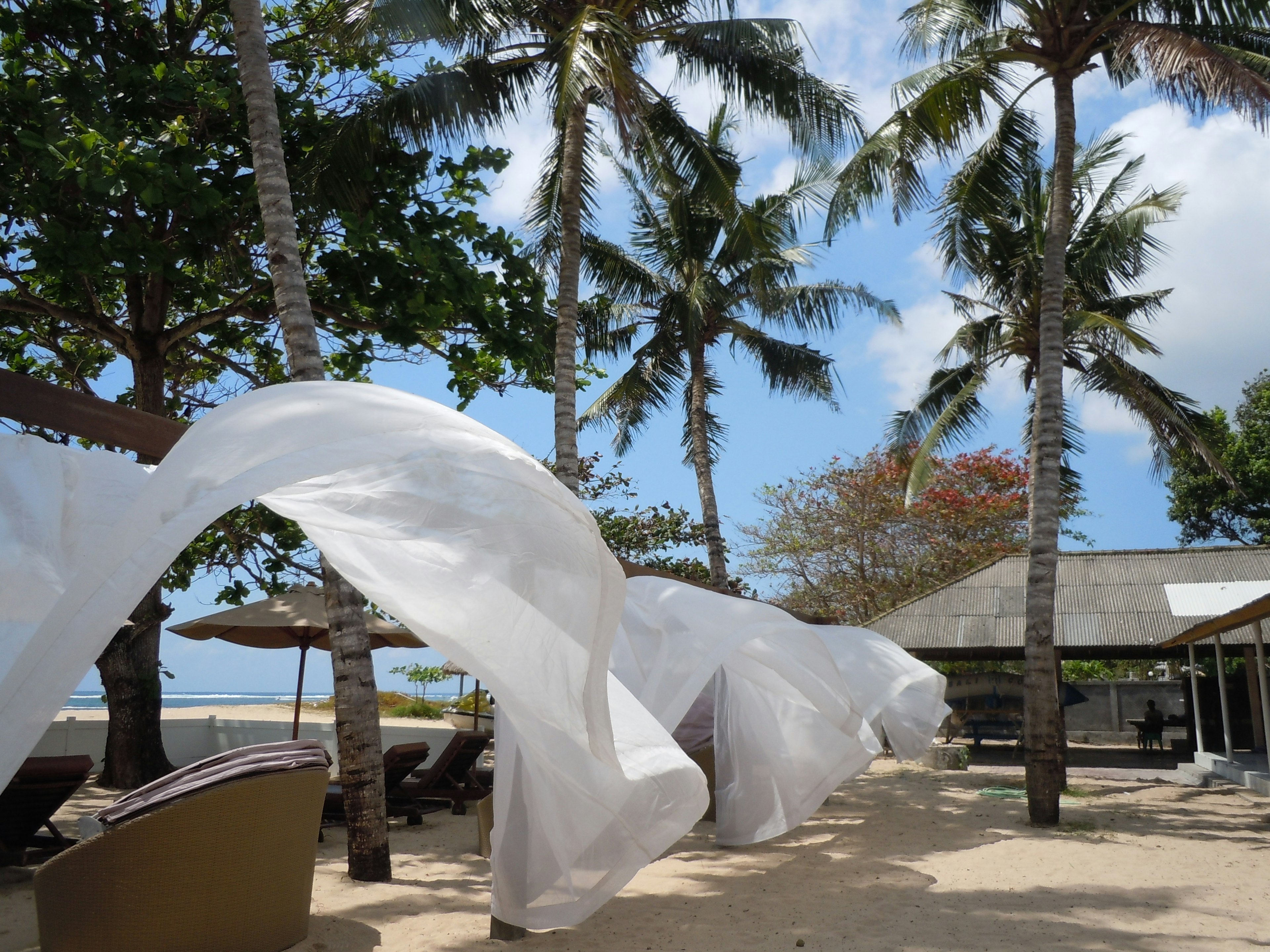 White fabric billowing in the breeze on a beach with palm trees