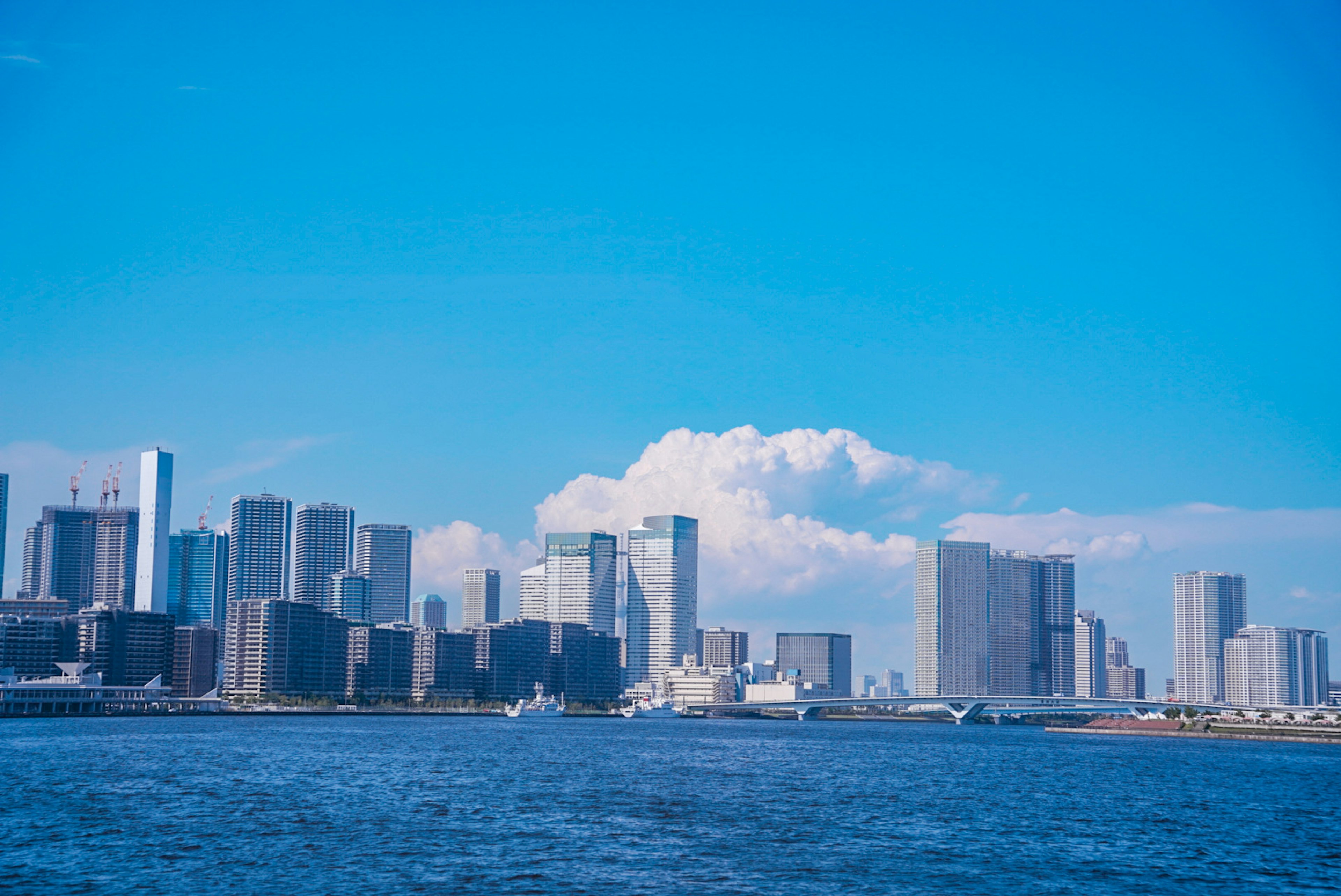 青い空の下に広がる都市のスカイラインと穏やかな海