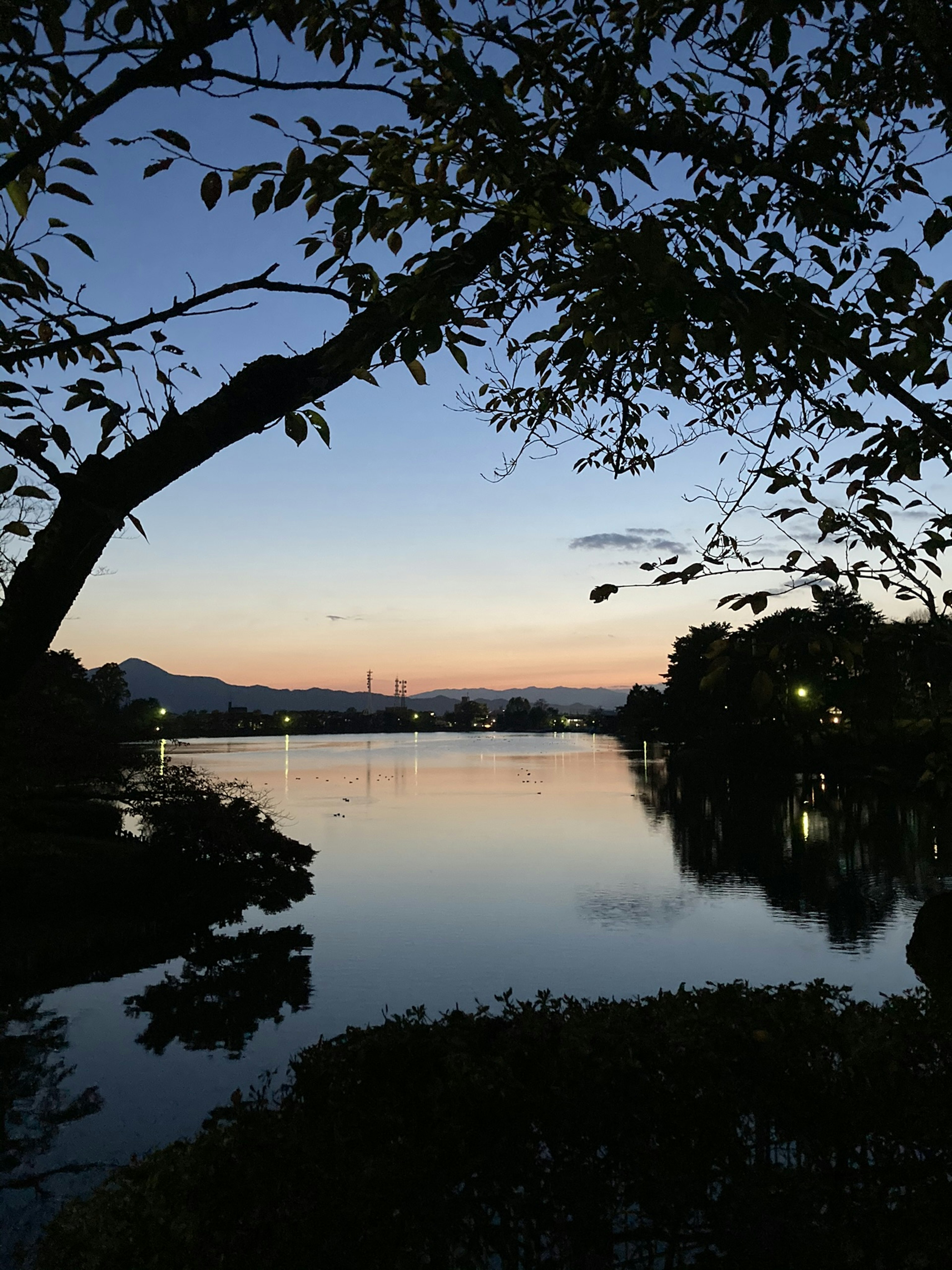 Vista panoramica di un lago al crepuscolo alberi in silhouette con riflessi vibranti sull'acqua