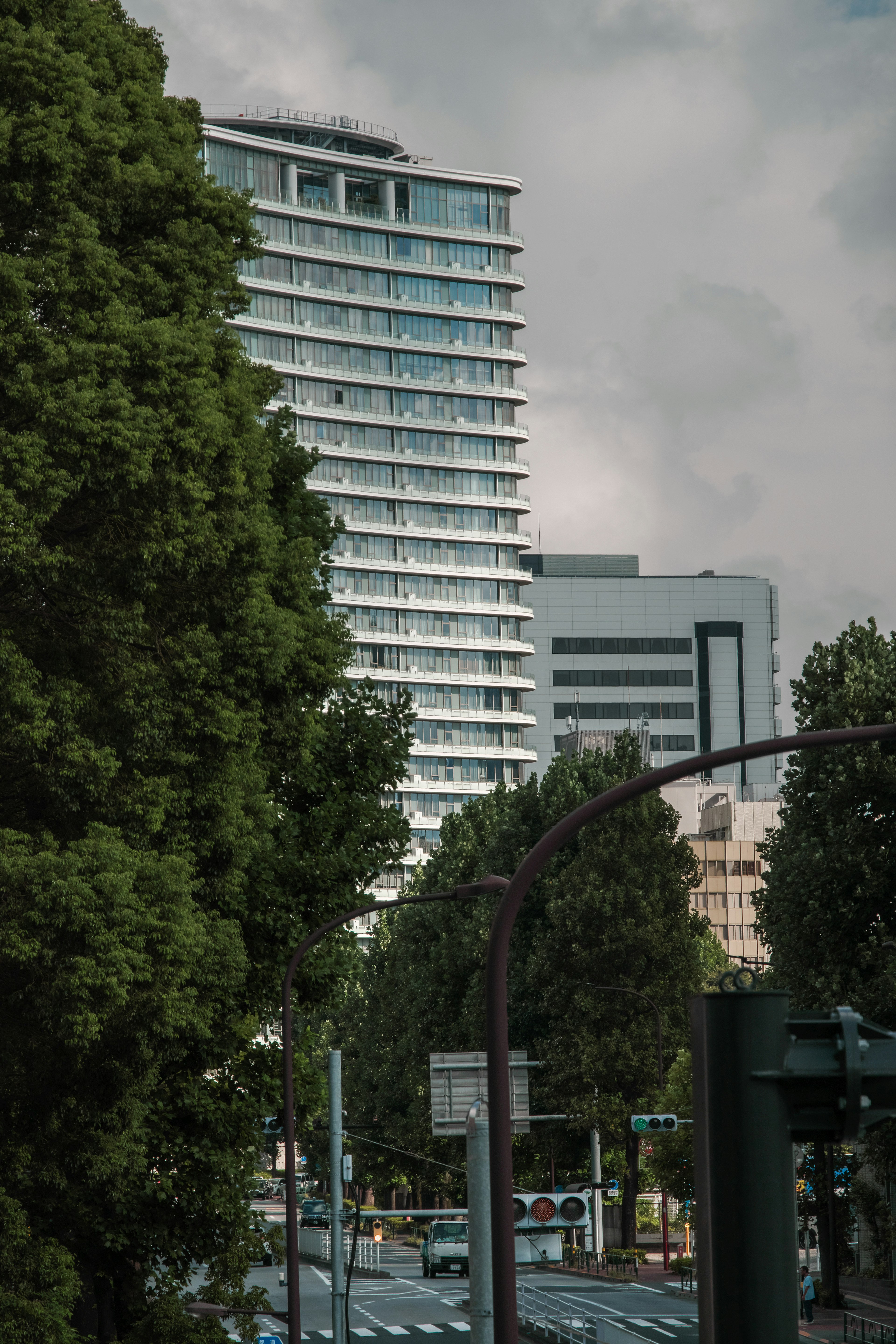 Paisaje urbano con edificios altos y árboles verdes exuberantes