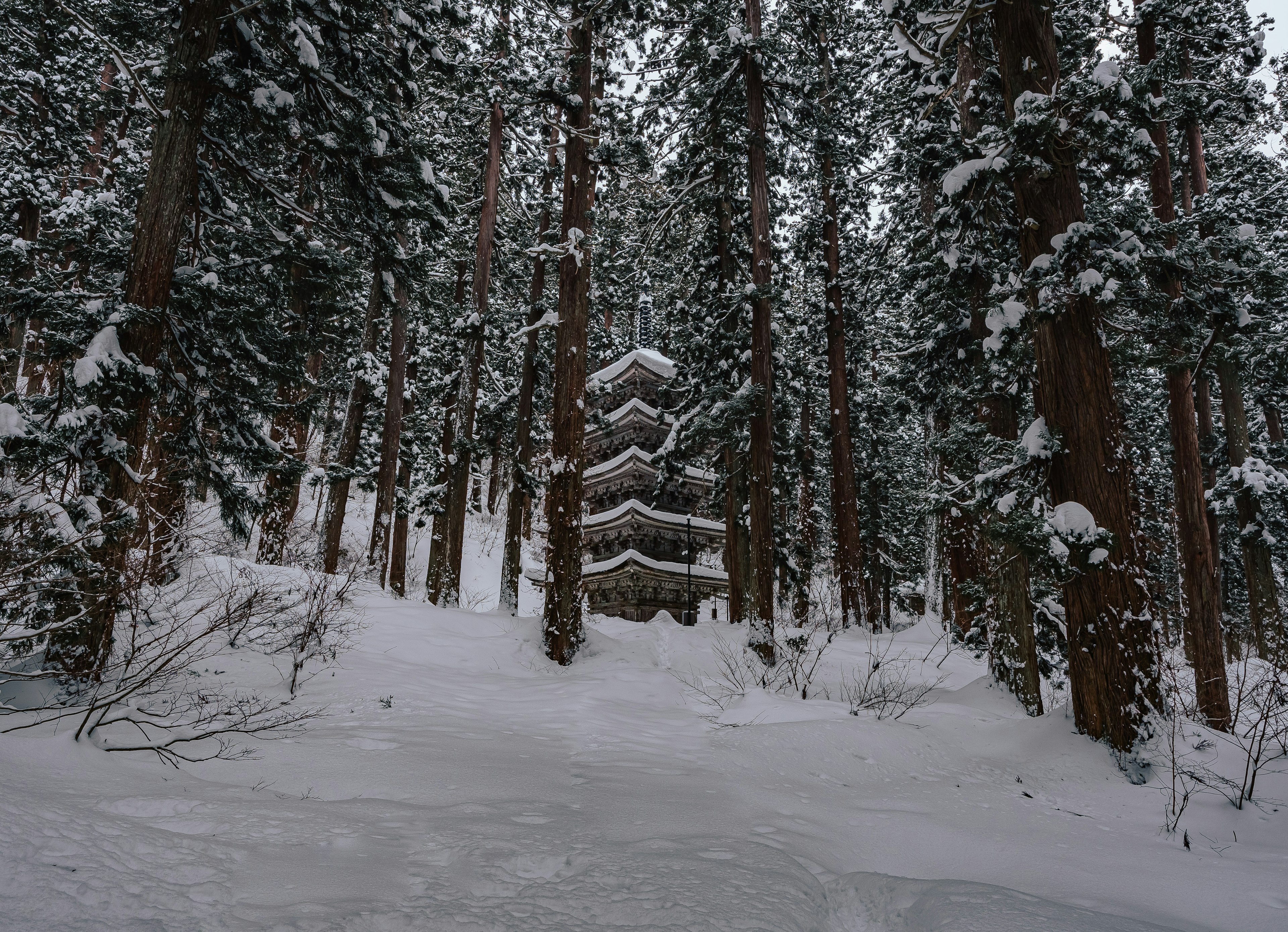 Image of a building surrounded by snow-covered trees