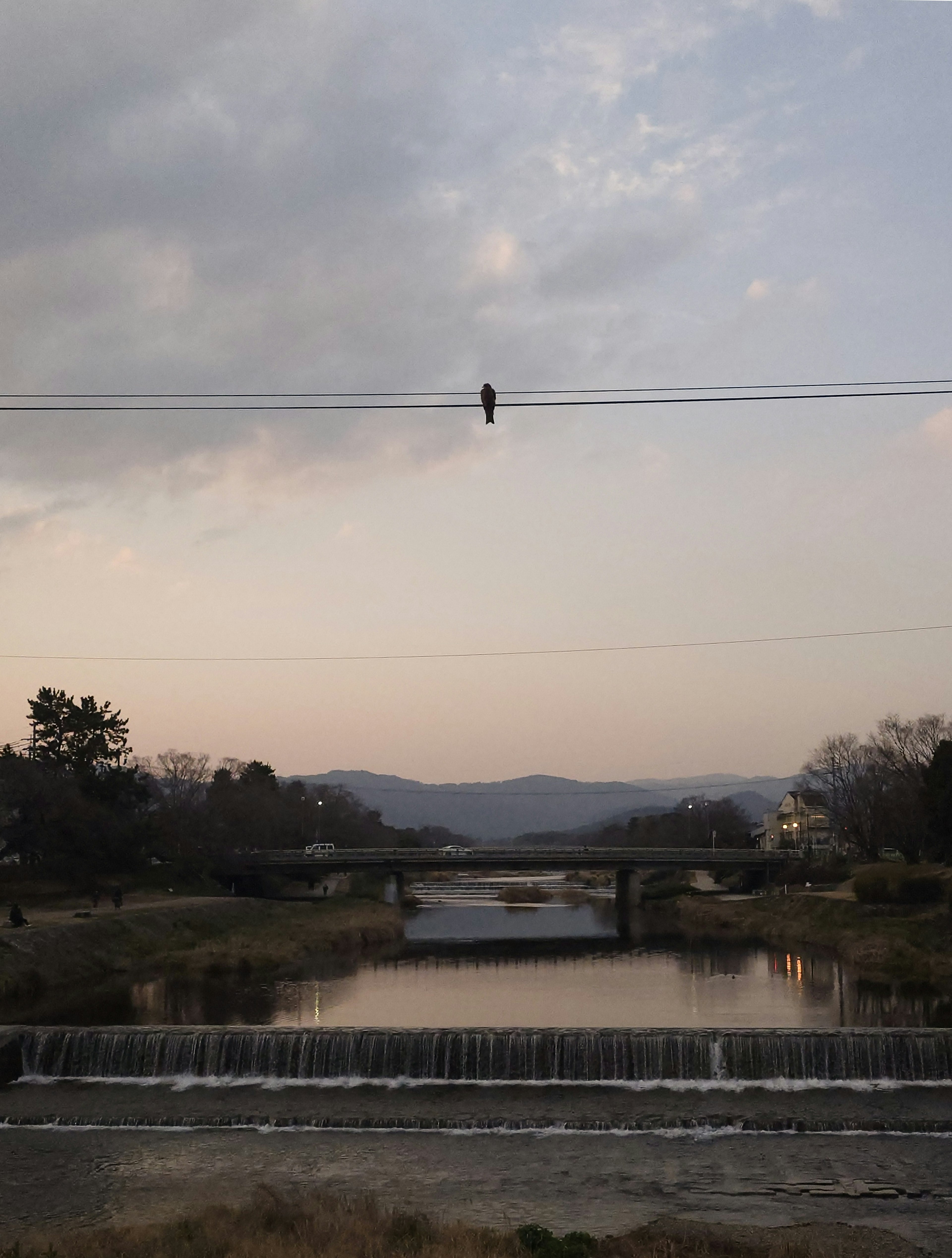 Pemandangan indah sungai dan jembatan saat senja dengan burung bertengger di kabel