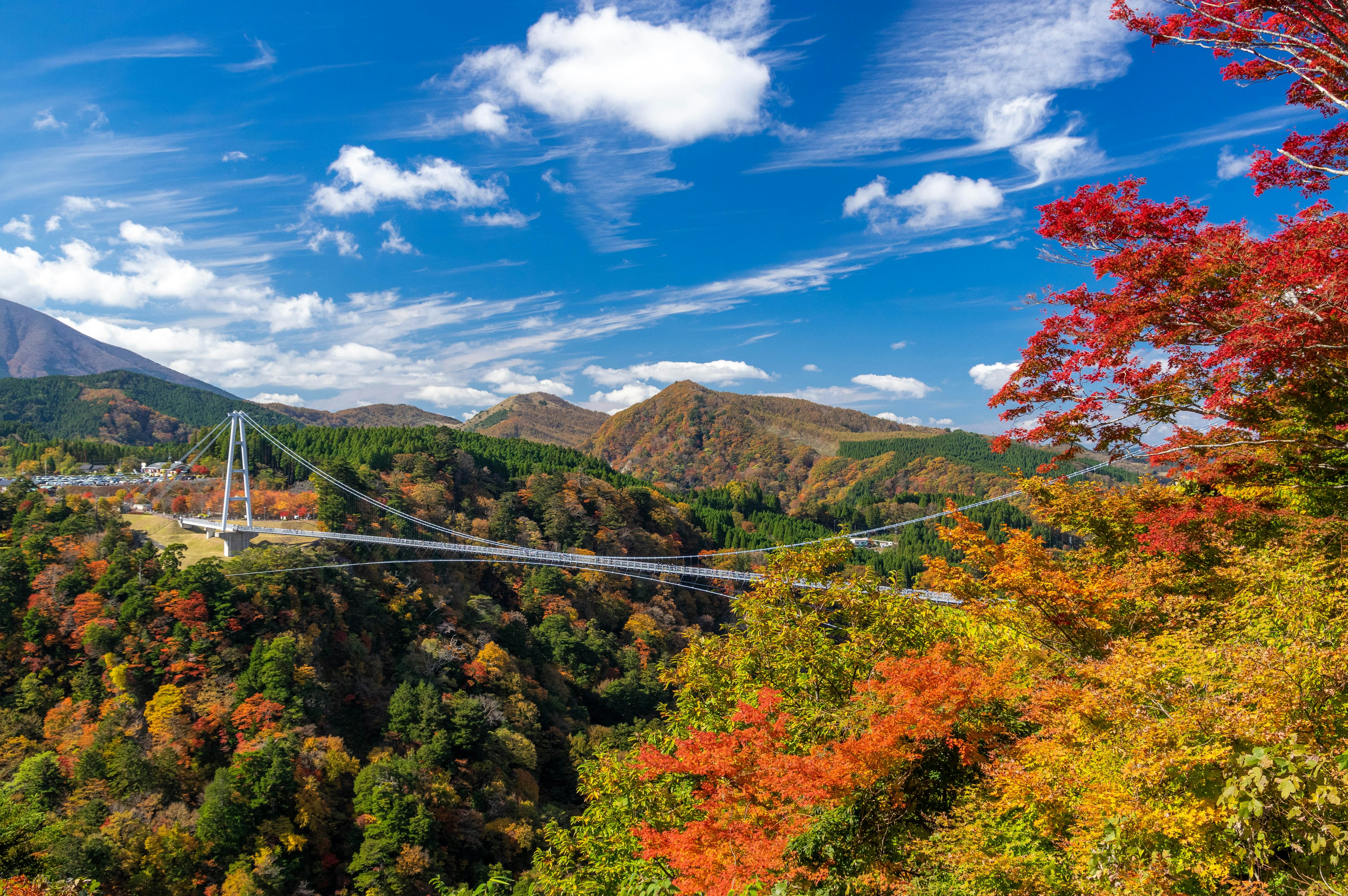 美しい秋の風景と色とりどりの紅葉を背景にした吊り橋