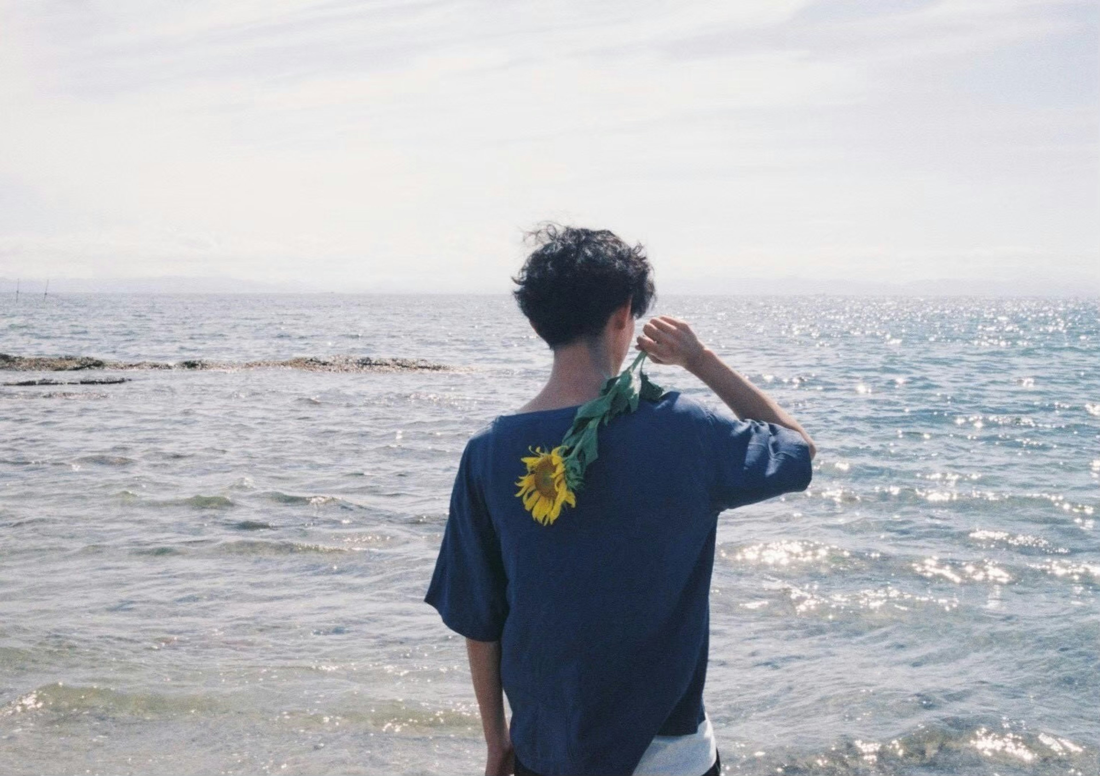 Young person standing by the sea with their back to the camera holding sunflowers