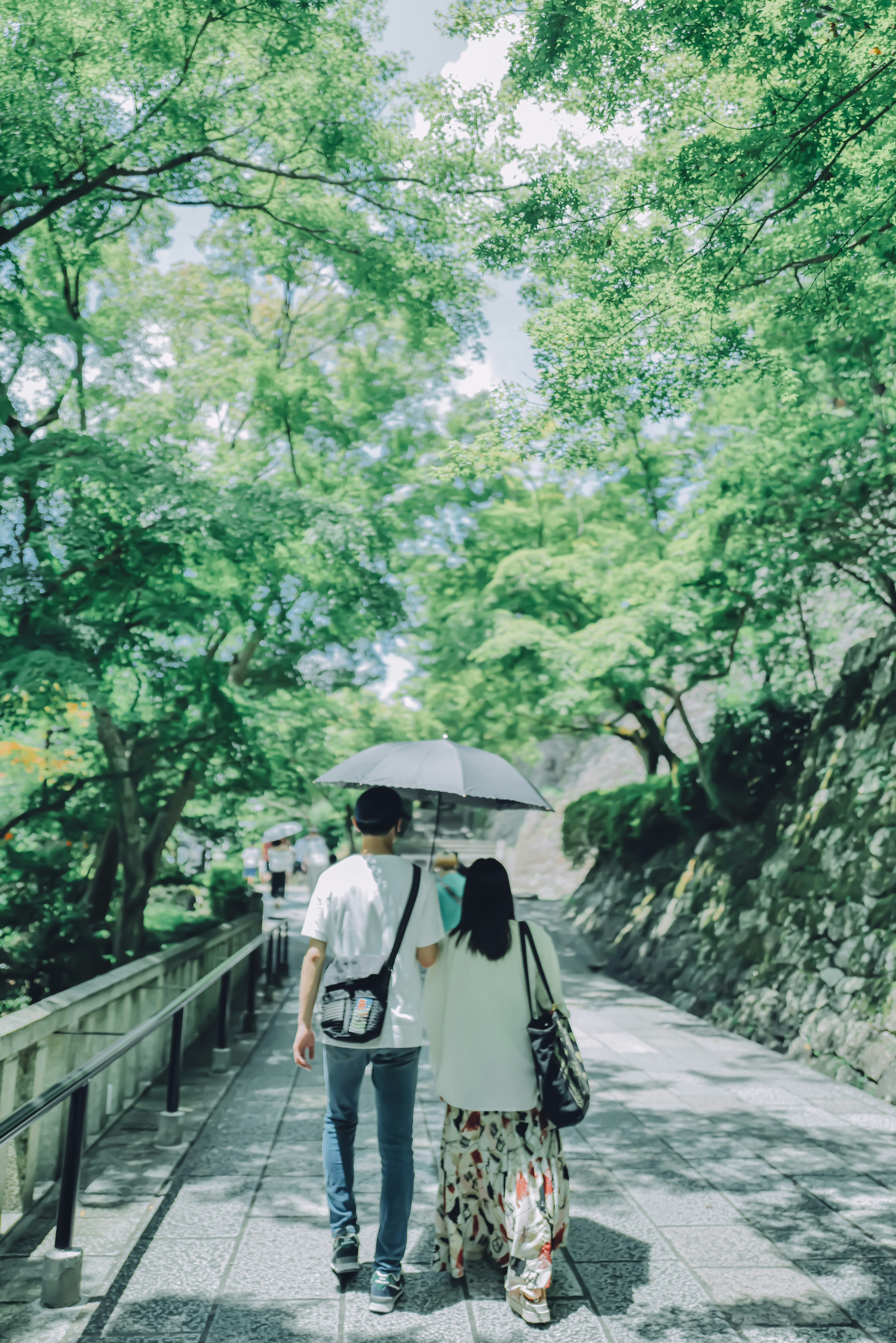 나무가 우거진 길을 걷는 커플이 우산을 쓰고 있는 평화로운 분위기