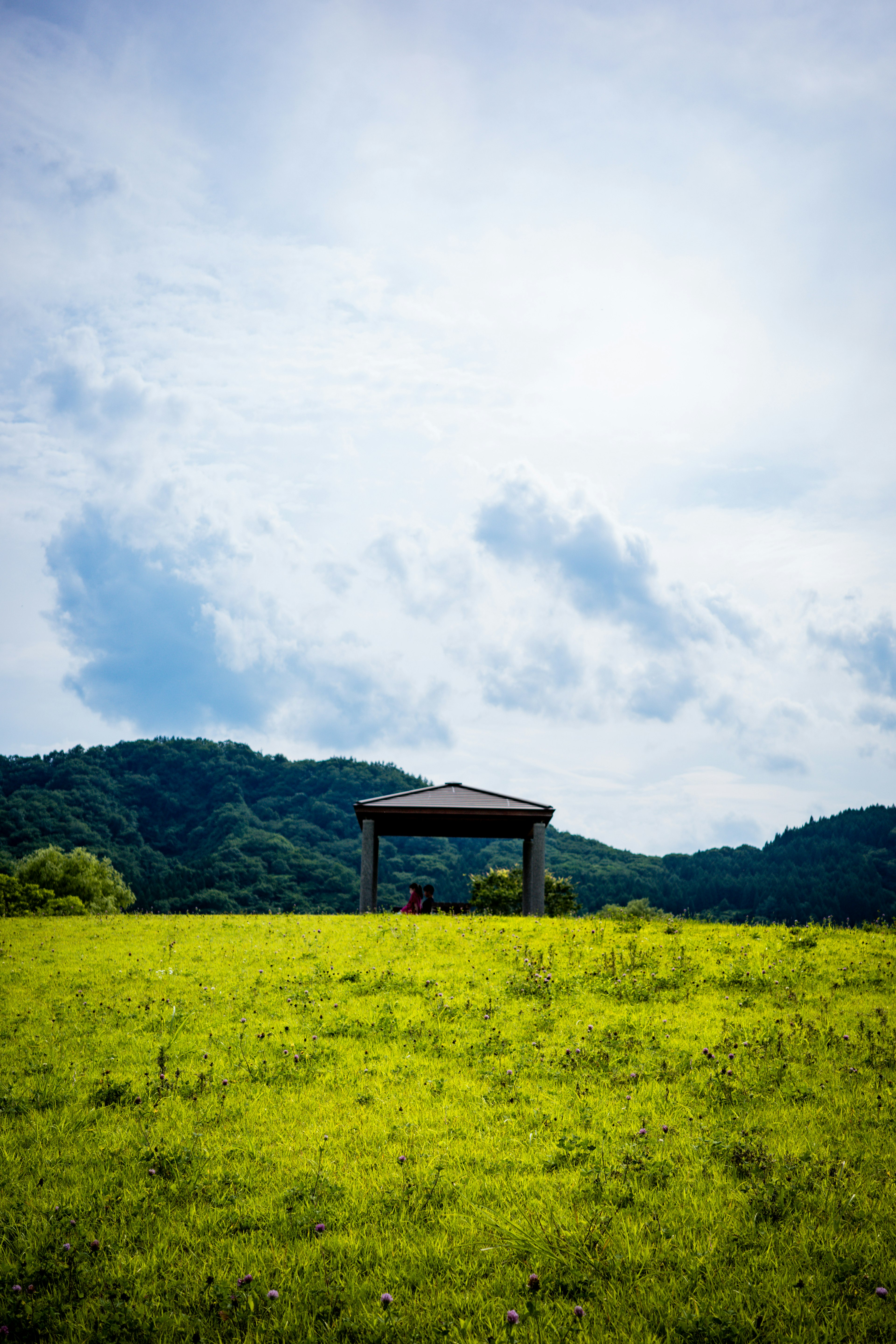 Một cái gazebo trên cánh đồng xanh dưới bầu trời xanh