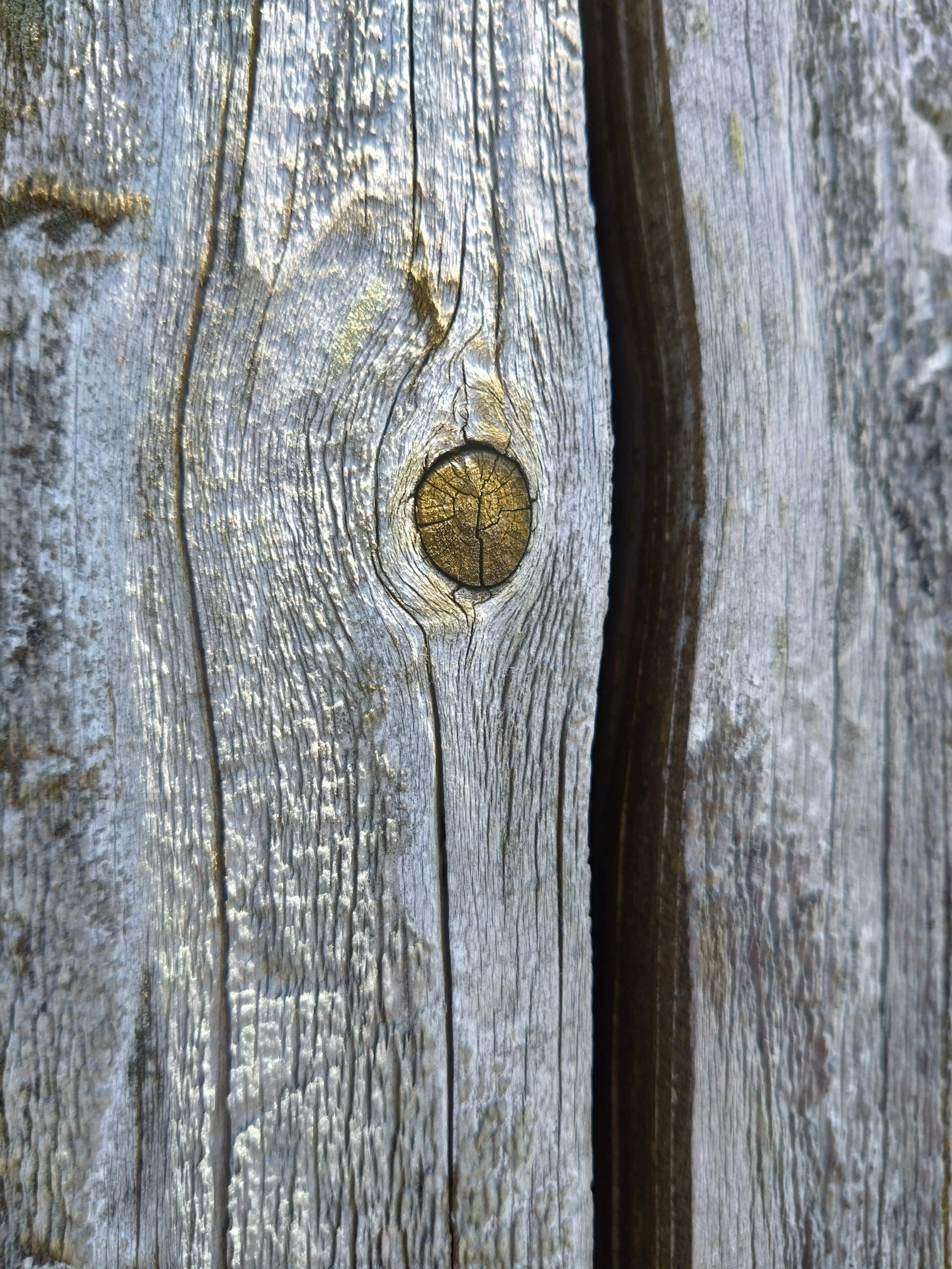 Texture dettagliata della superficie in legno con un nodo evidente