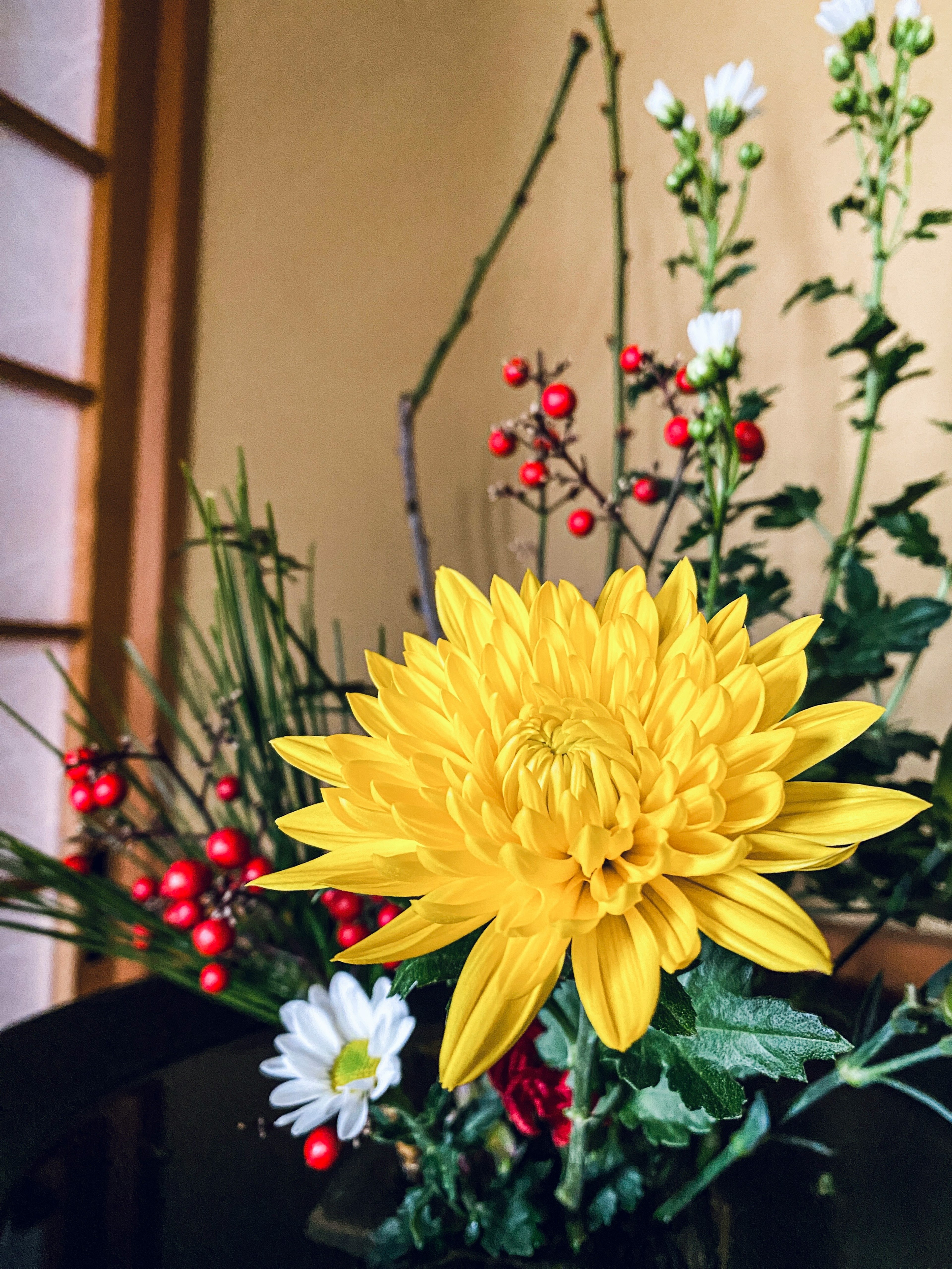 Crisantemo giallo in un'arrangiamento floreale con bacche rosse e fiori bianchi