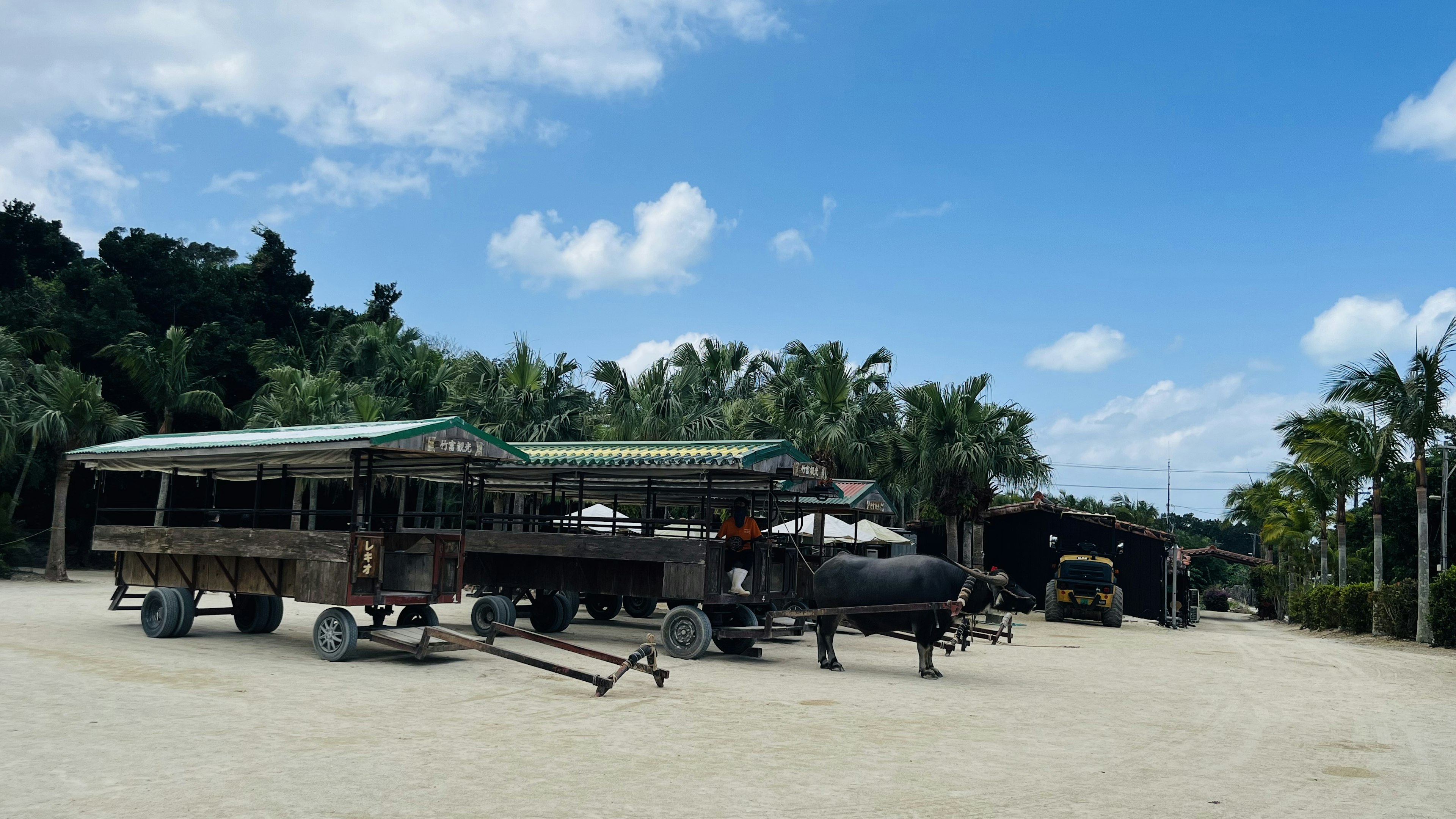 Carritos de madera y remolques estacionados en la playa con vegetación exuberante al fondo