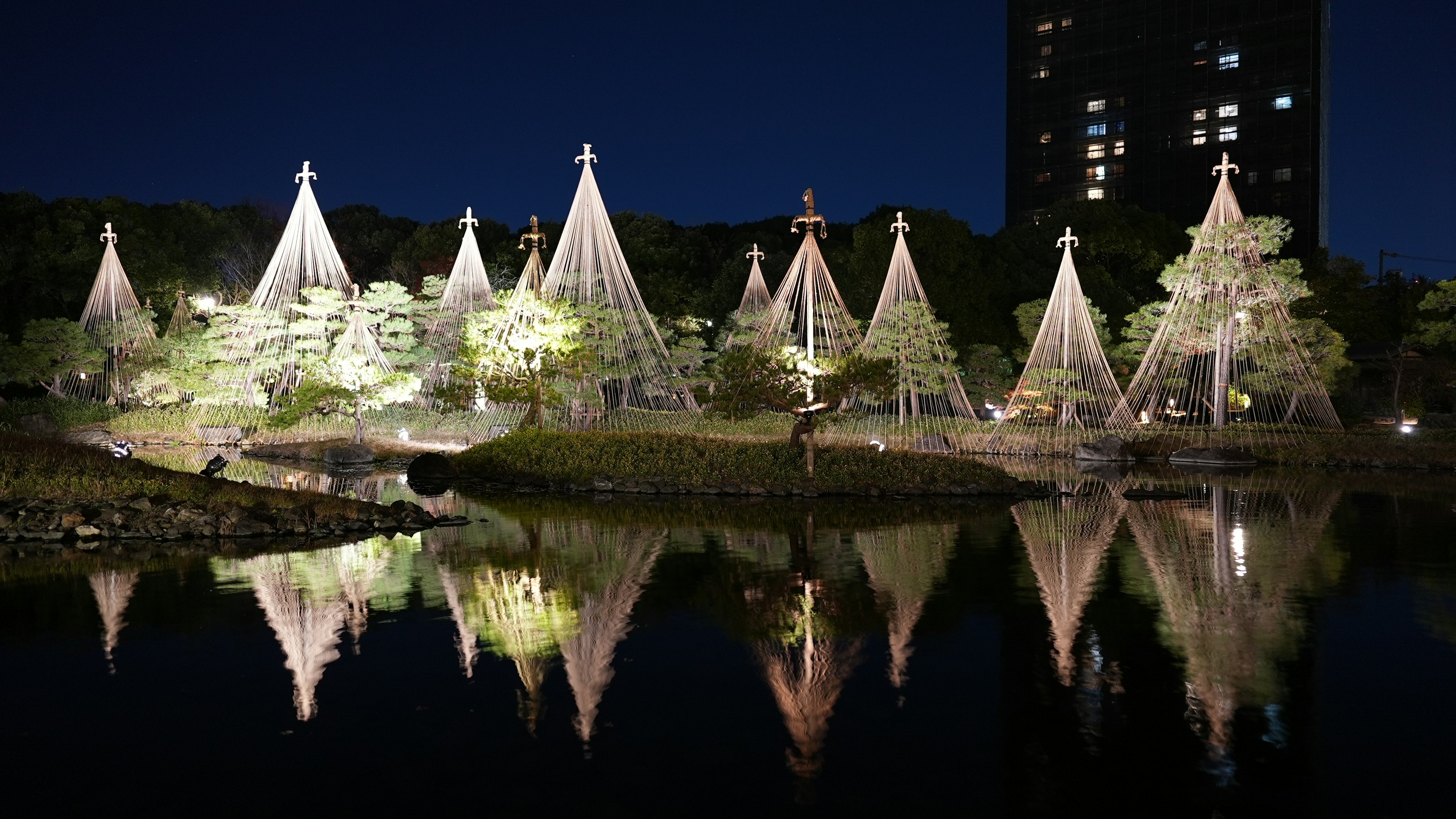 Alberi splendidamente illuminati e strutture a forma di albero di Natale che si riflettono sull'acqua di notte