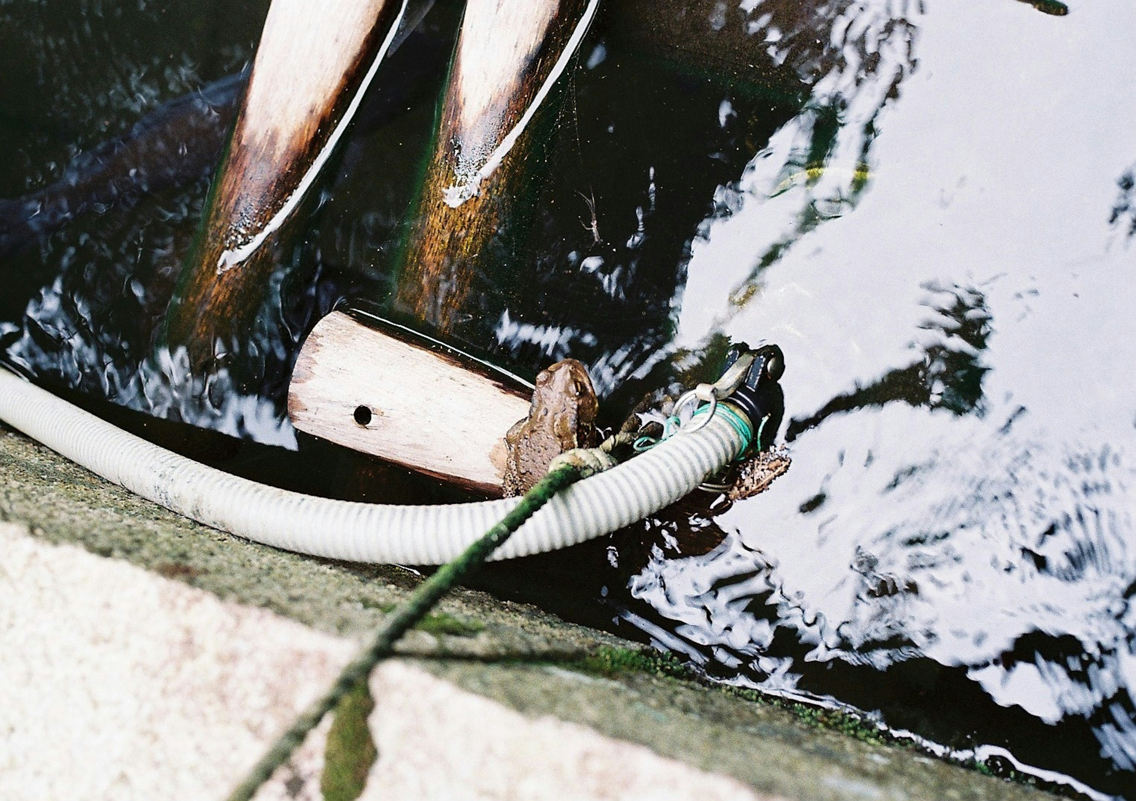 Close-up of a hose and pump near the water surface