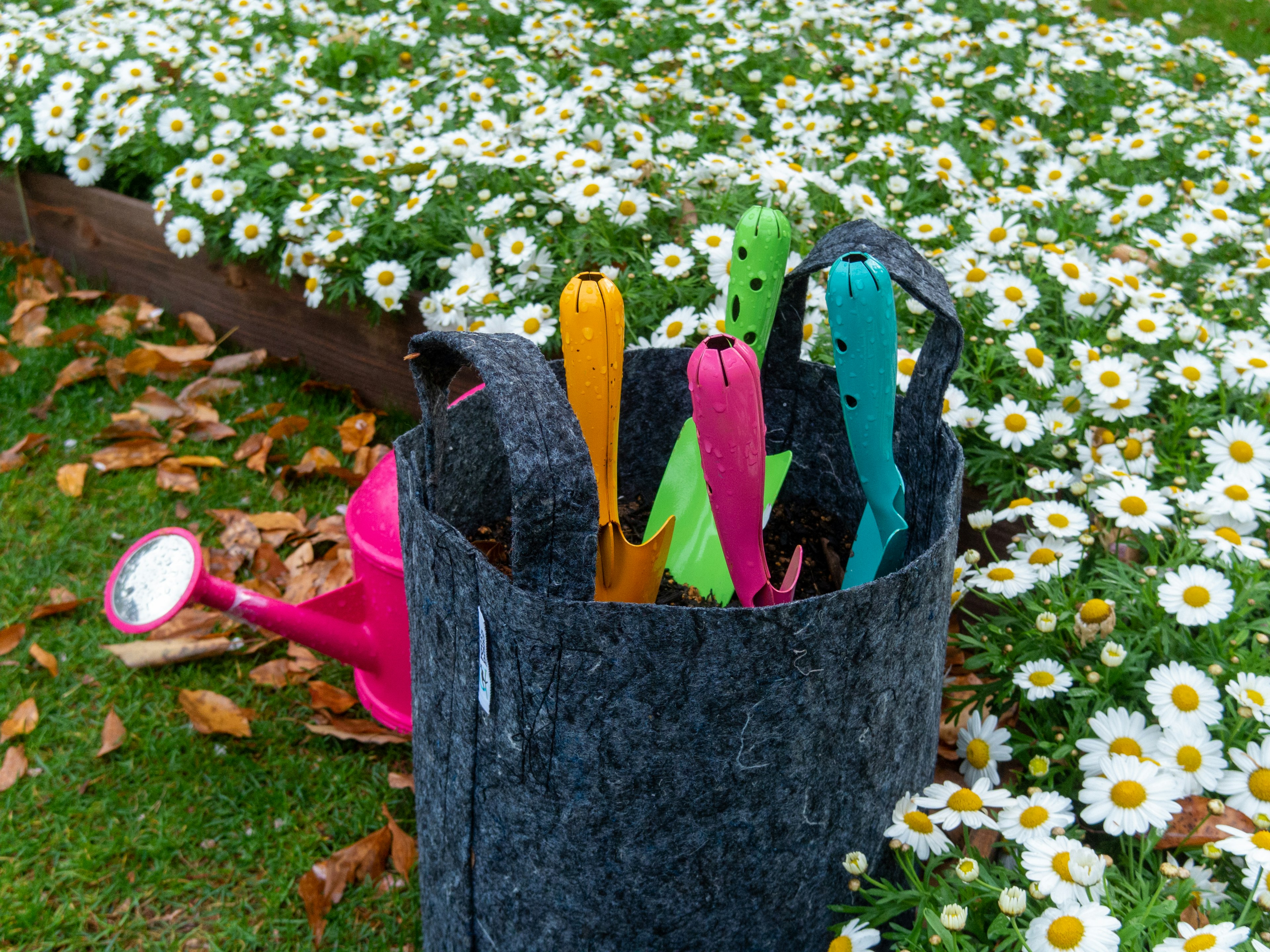 Bunte Gartengeräte in einer schwarzen Tasche vor einem Hintergrund von weißen Blumen