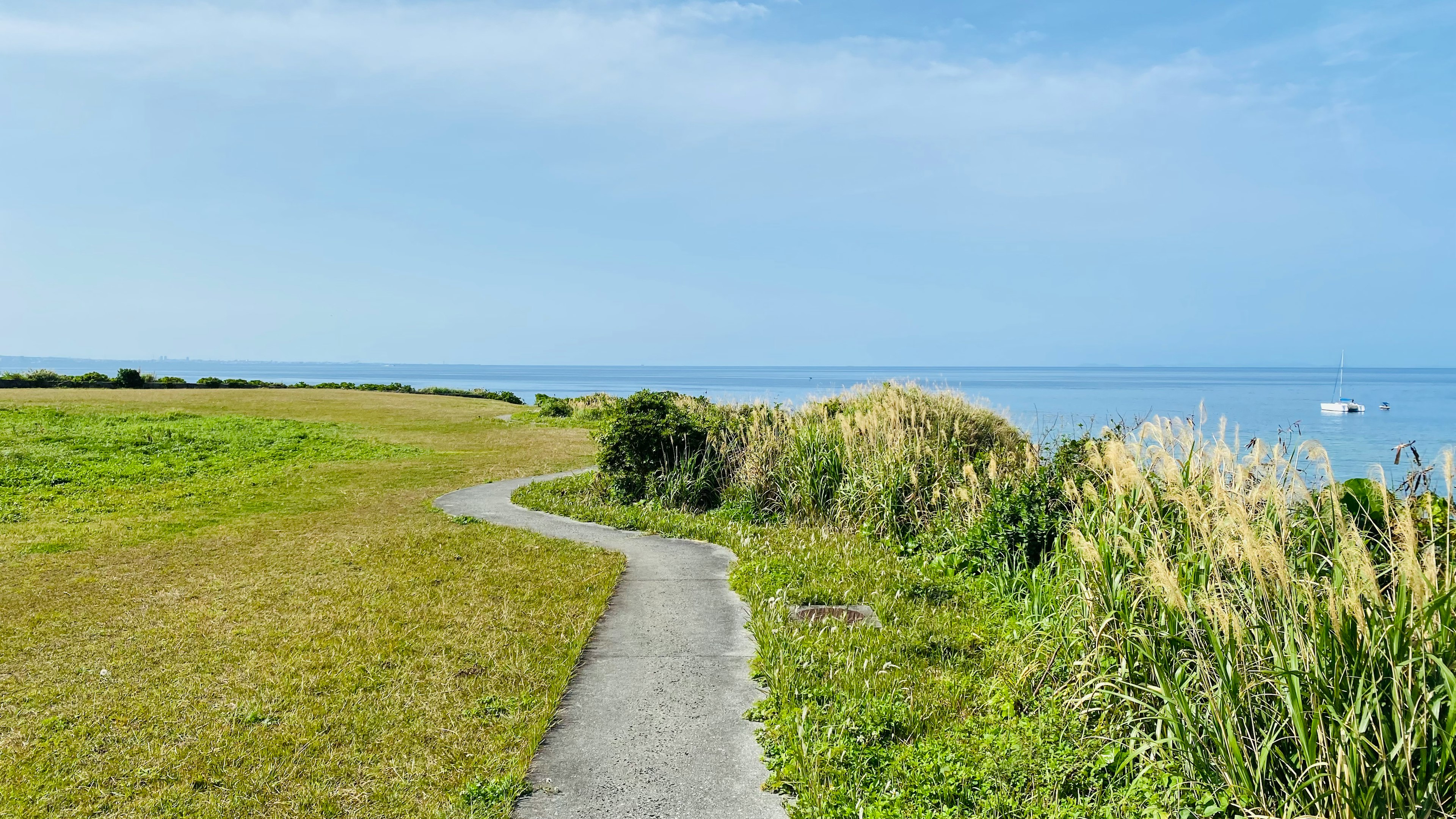 海に沿った緑の道と青い空の風景