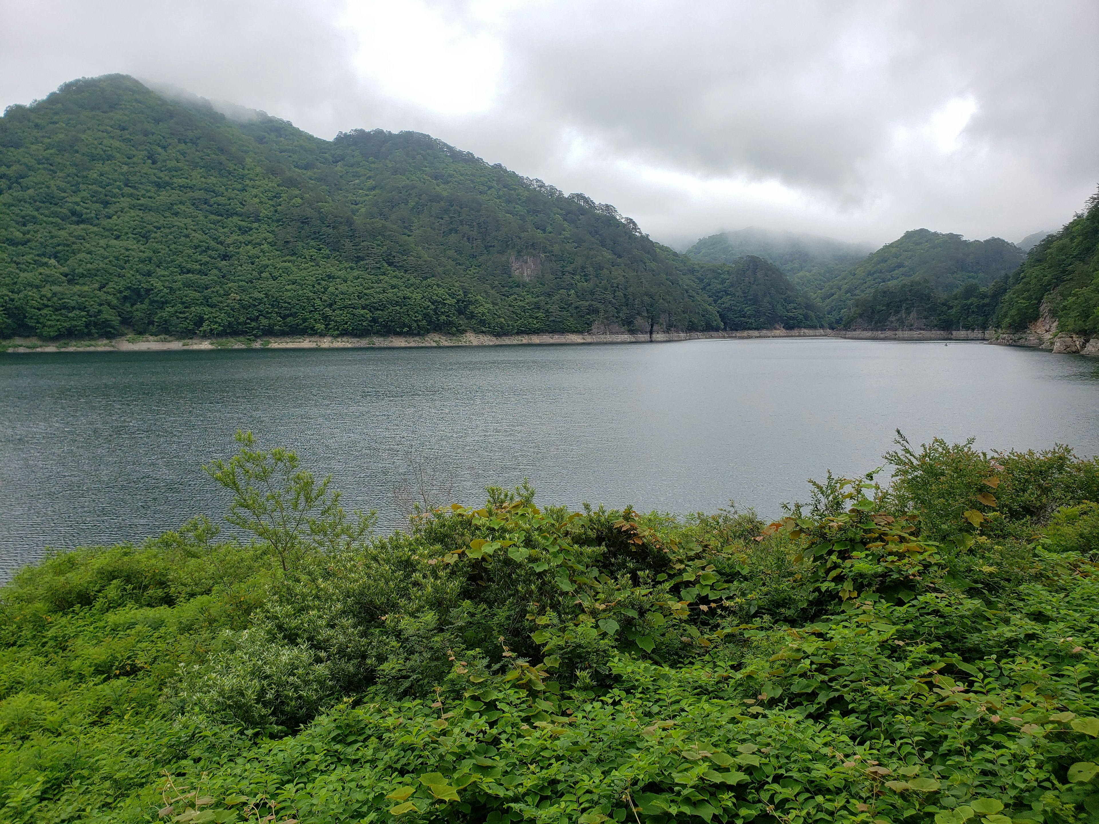 Paisaje de lago sereno rodeado de montañas verdes