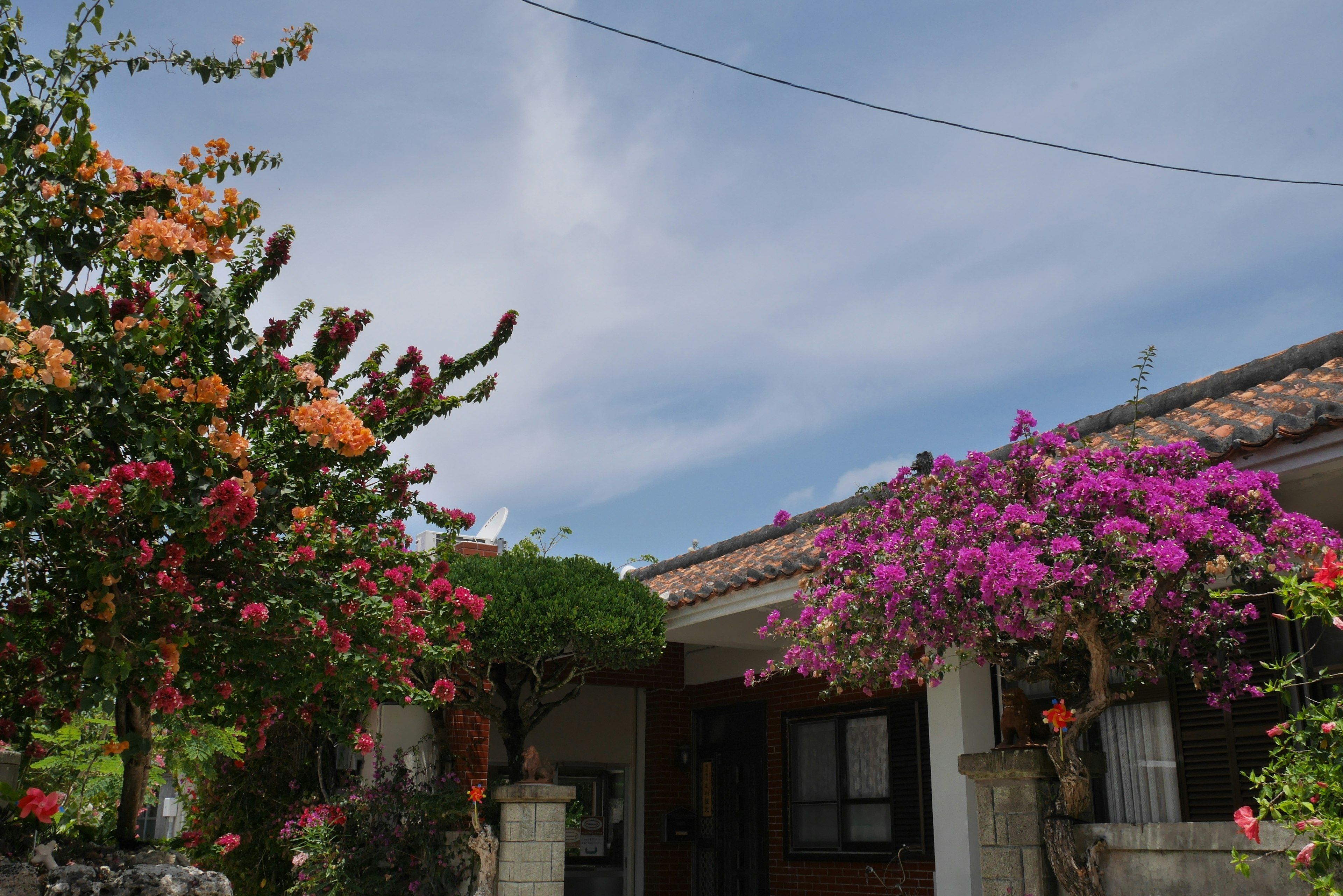 House exterior adorned with vibrant flowers and blue sky