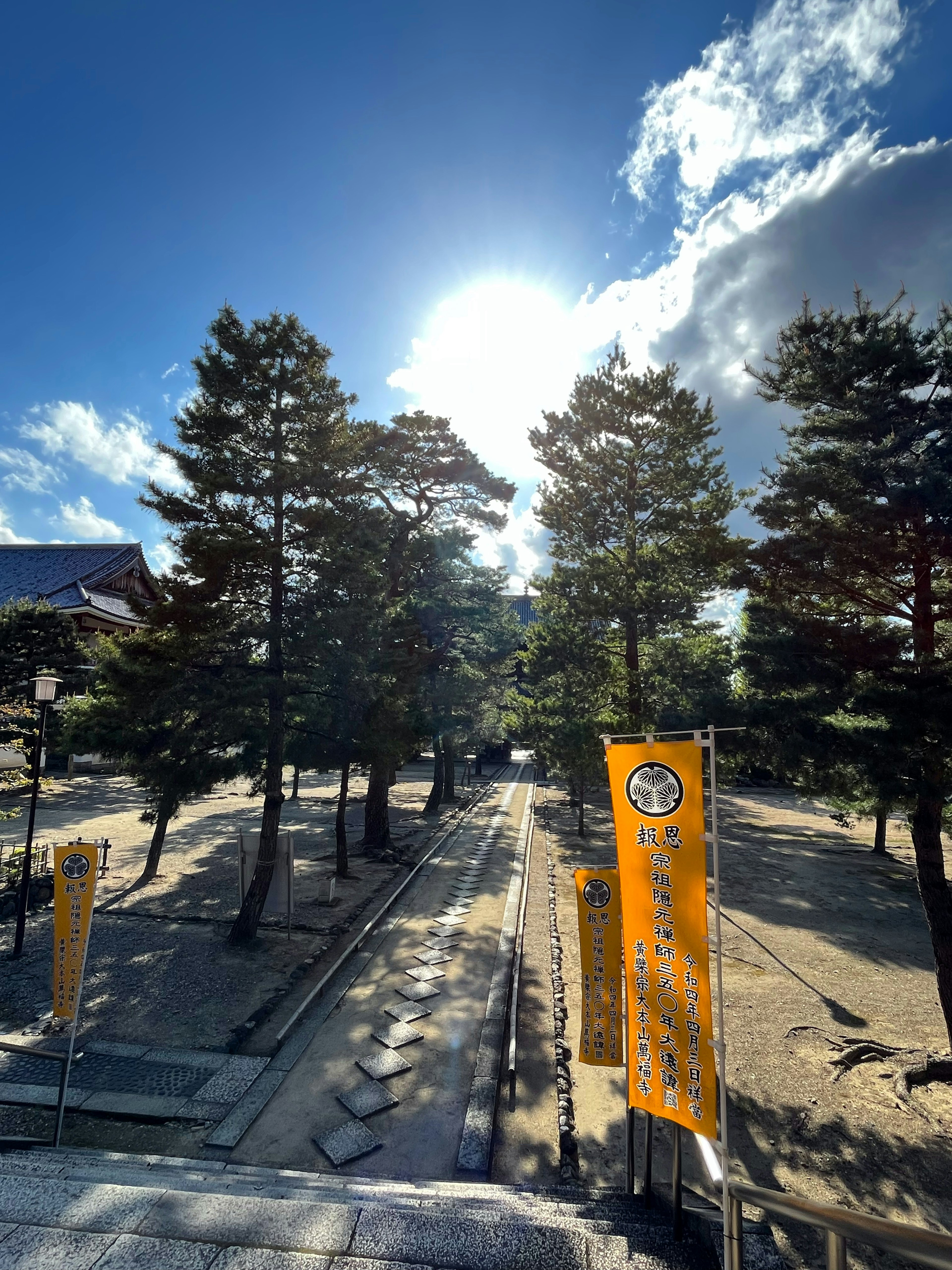 Sunlight shining through trees along a pathway