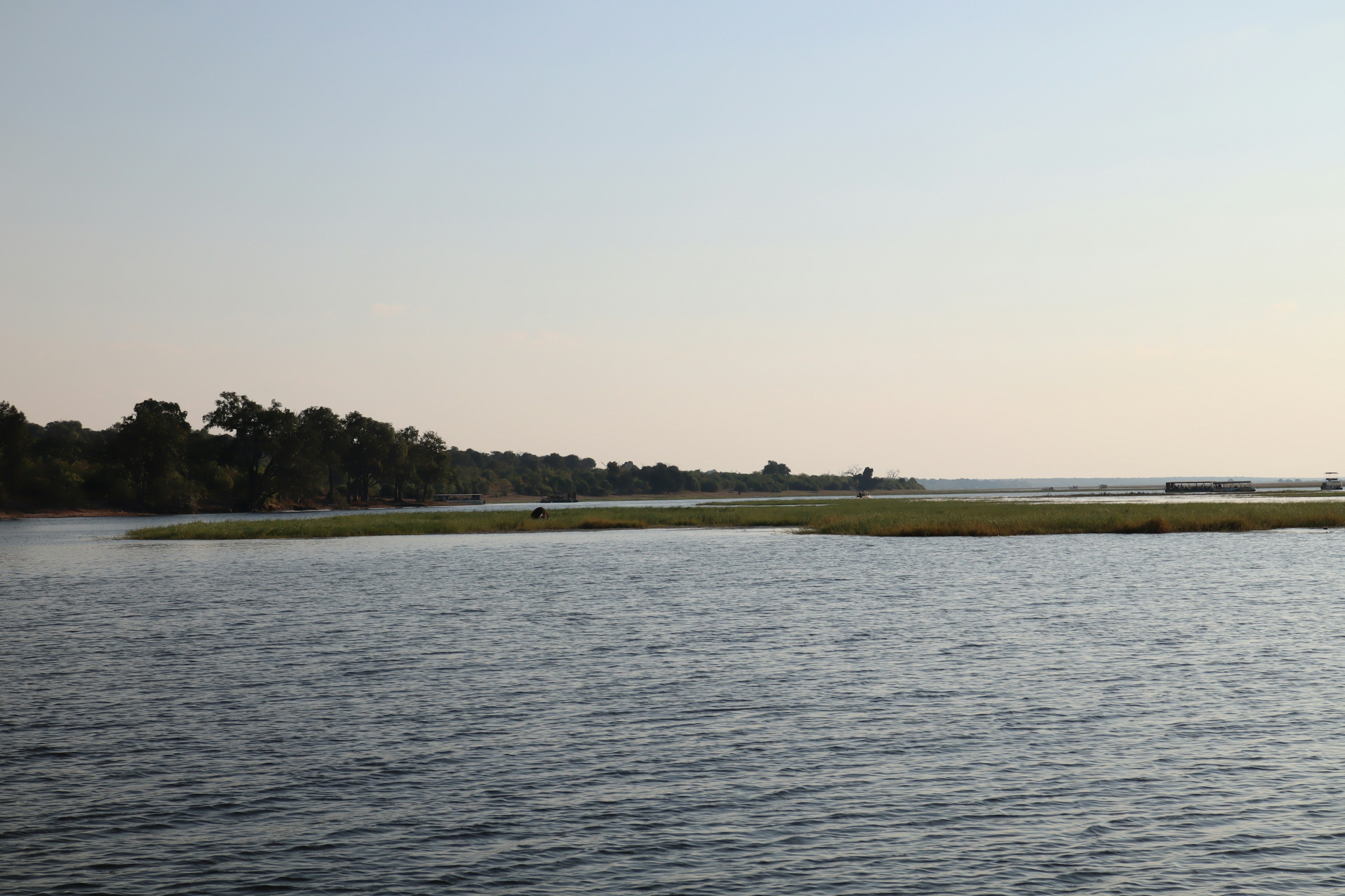 Calm water surface with grassy land and distant trees