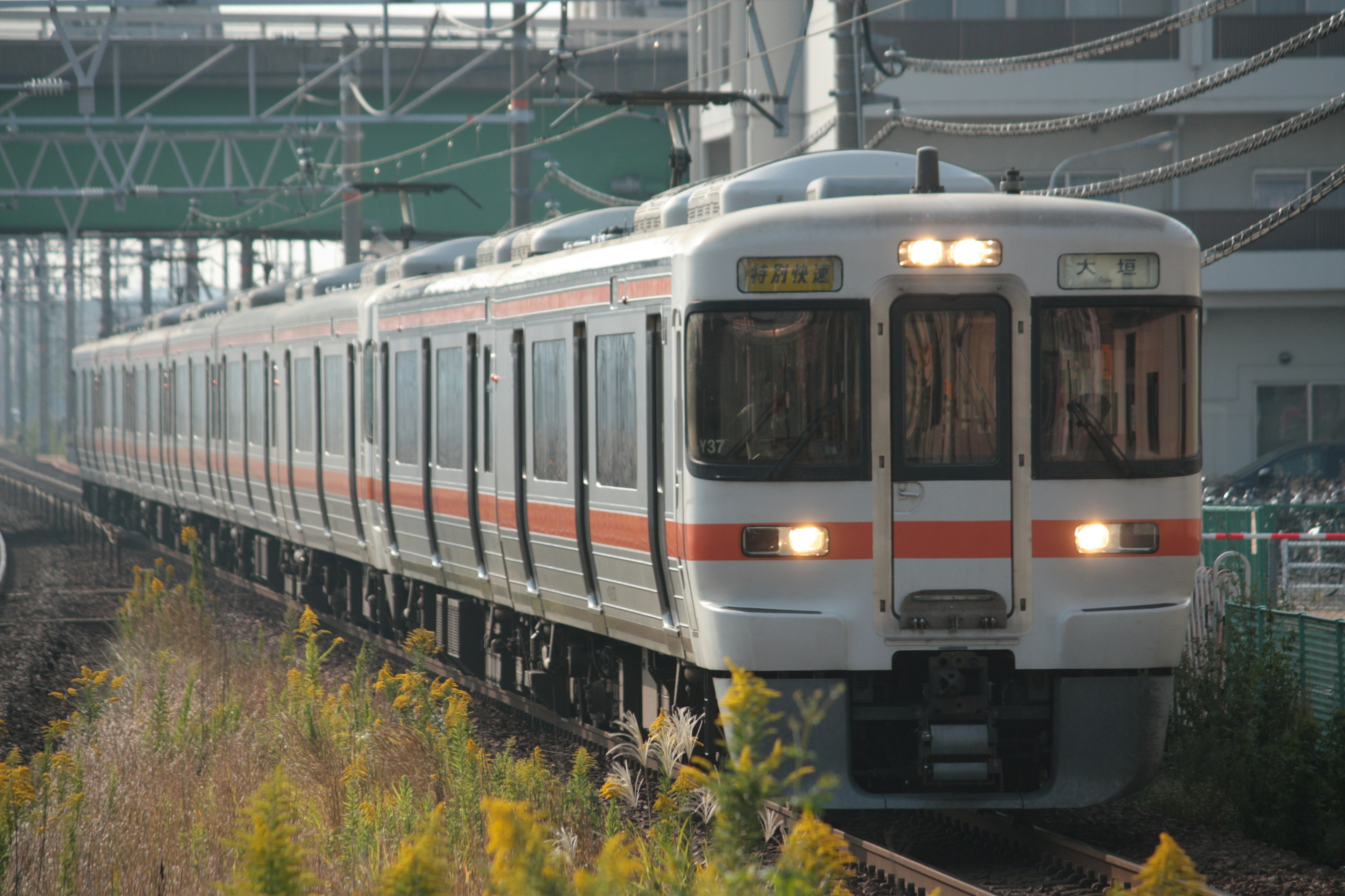 Sebuah kereta Jepang mendekati stasiun