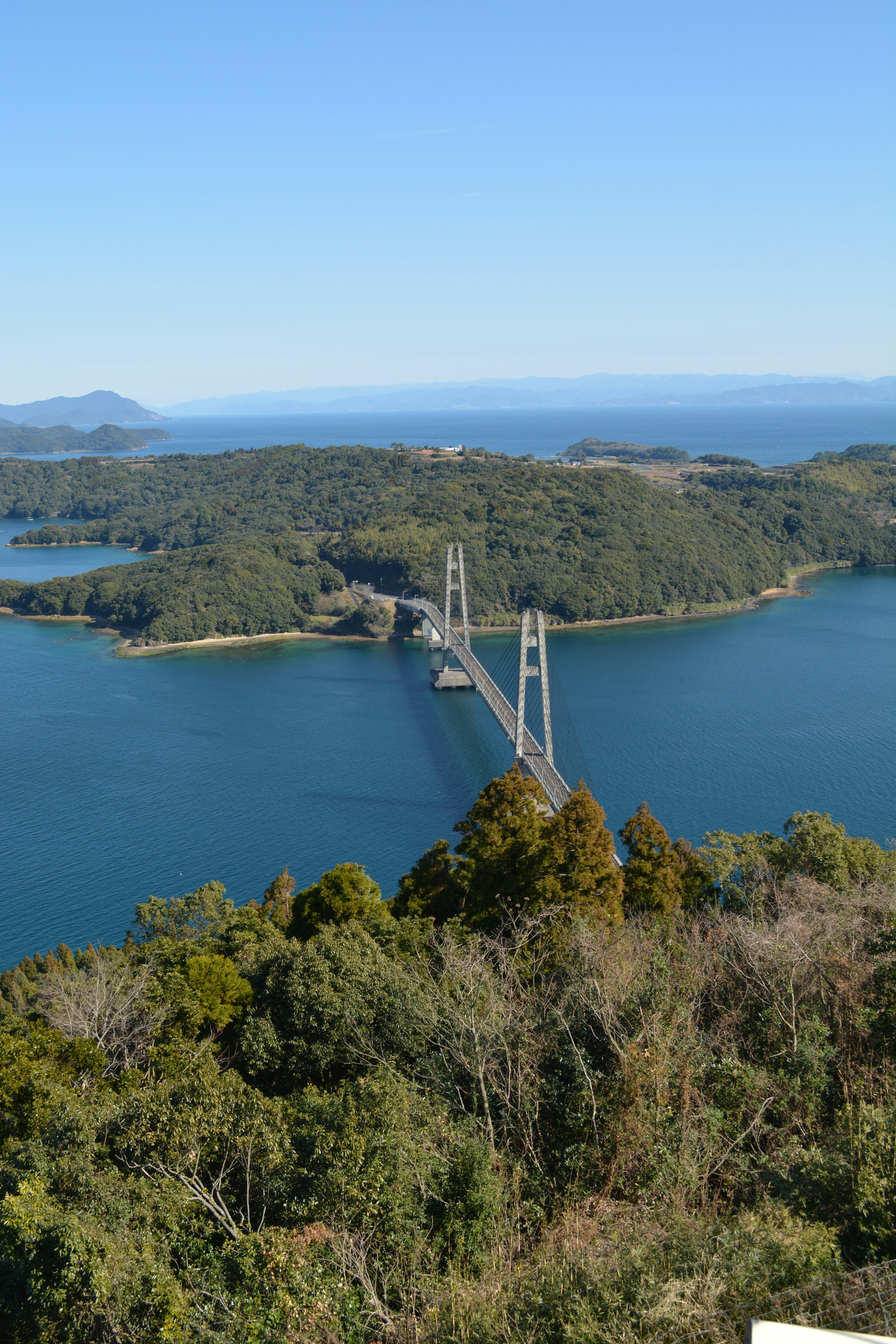 美しい橋と青い海の景色 緑豊かな森林に囲まれた風景