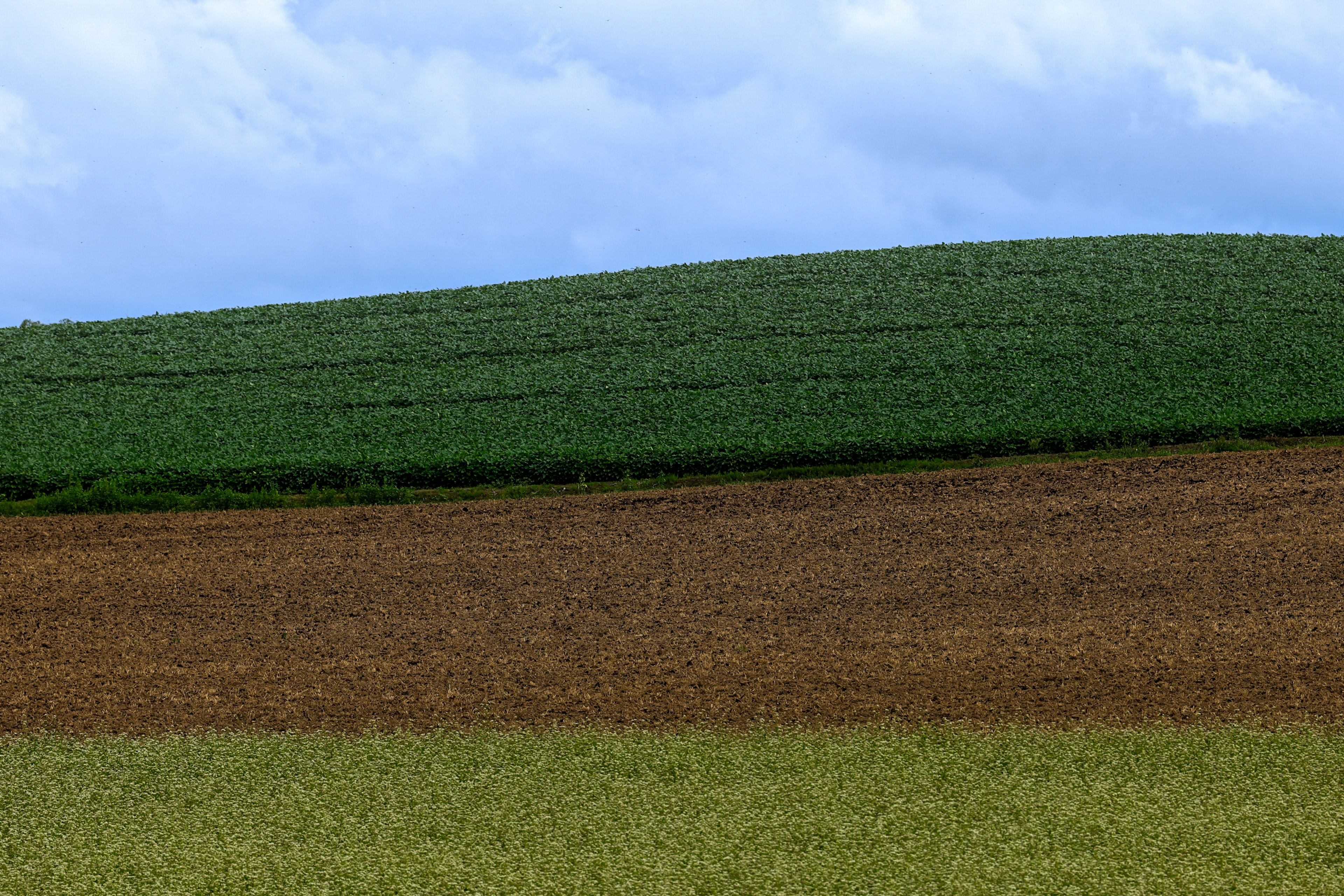 Un paisaje con campos verdes y capas de suelo marrón