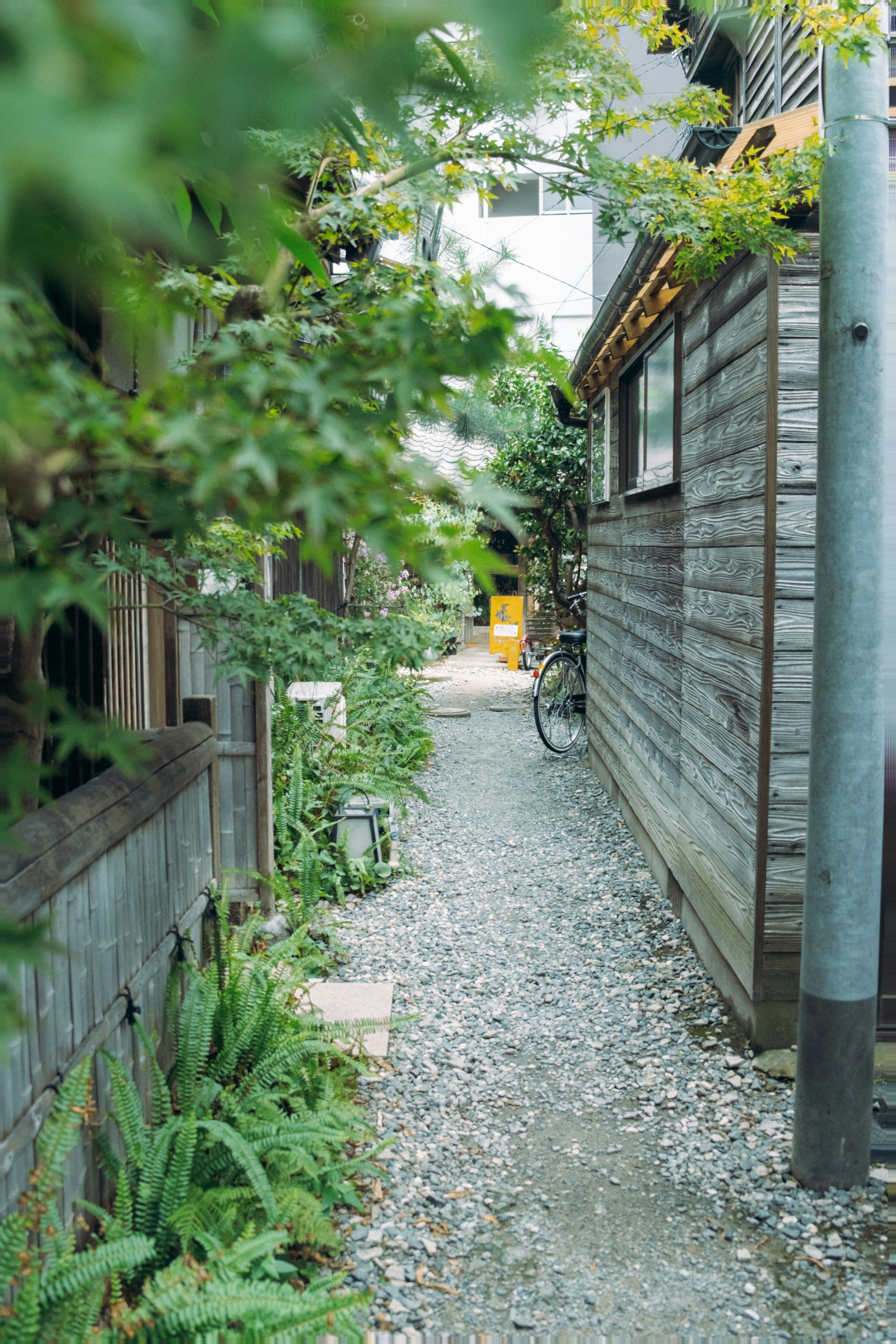 Narrow gravel path lined with greenery and wooden structures