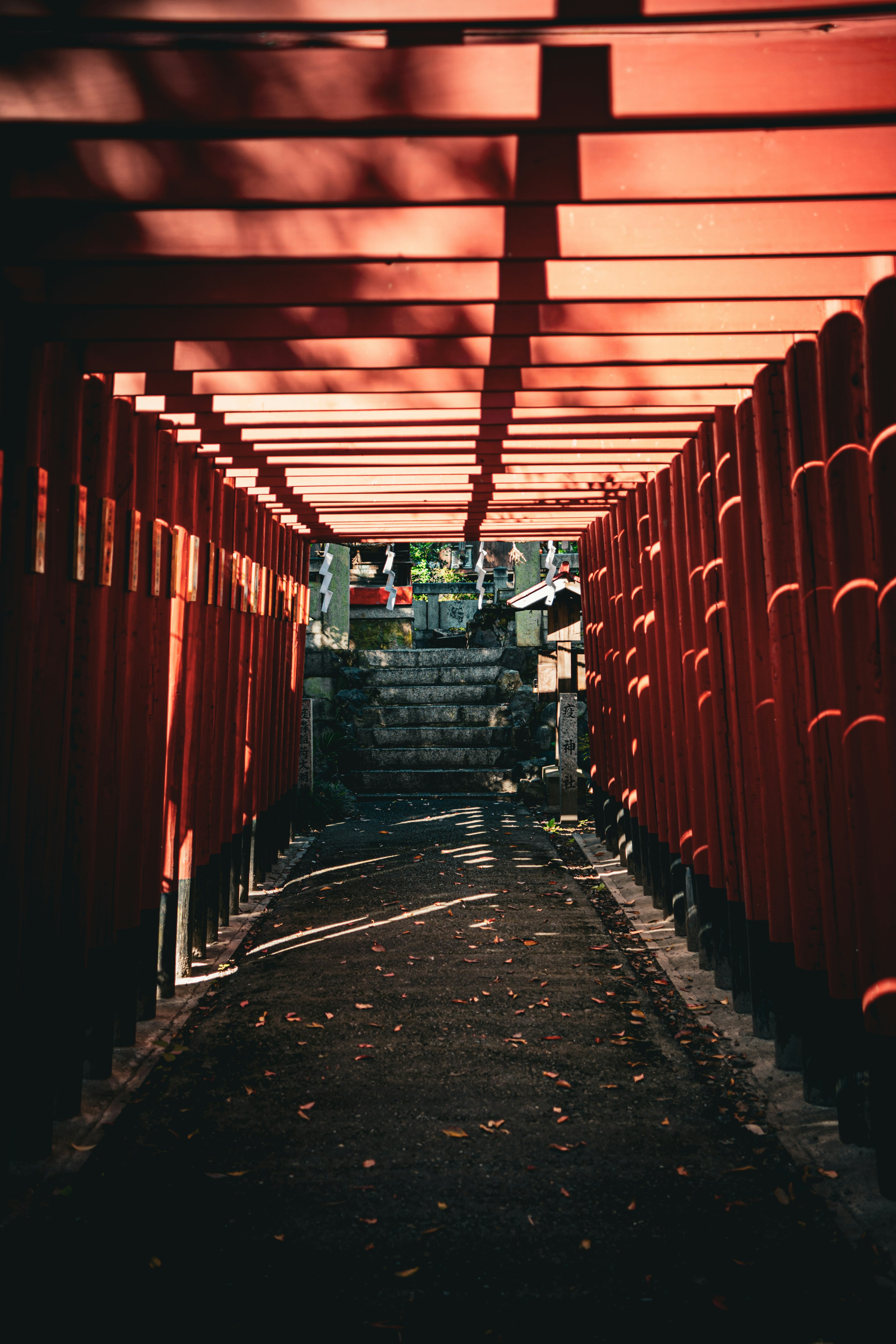 Vista di porte torii rosse con luce che filtra