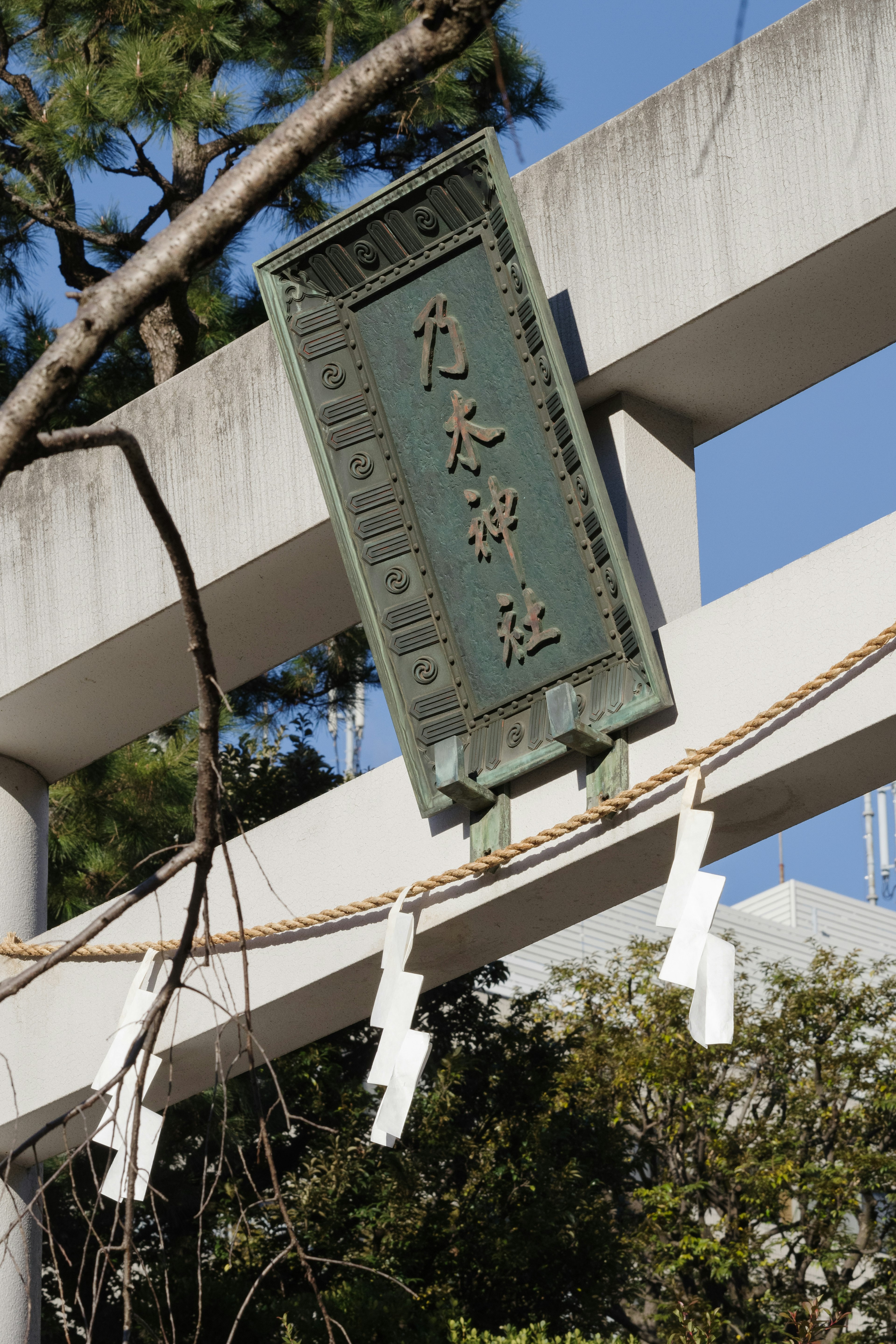 A green sign hanging from a tree branch at the entrance of a shrine