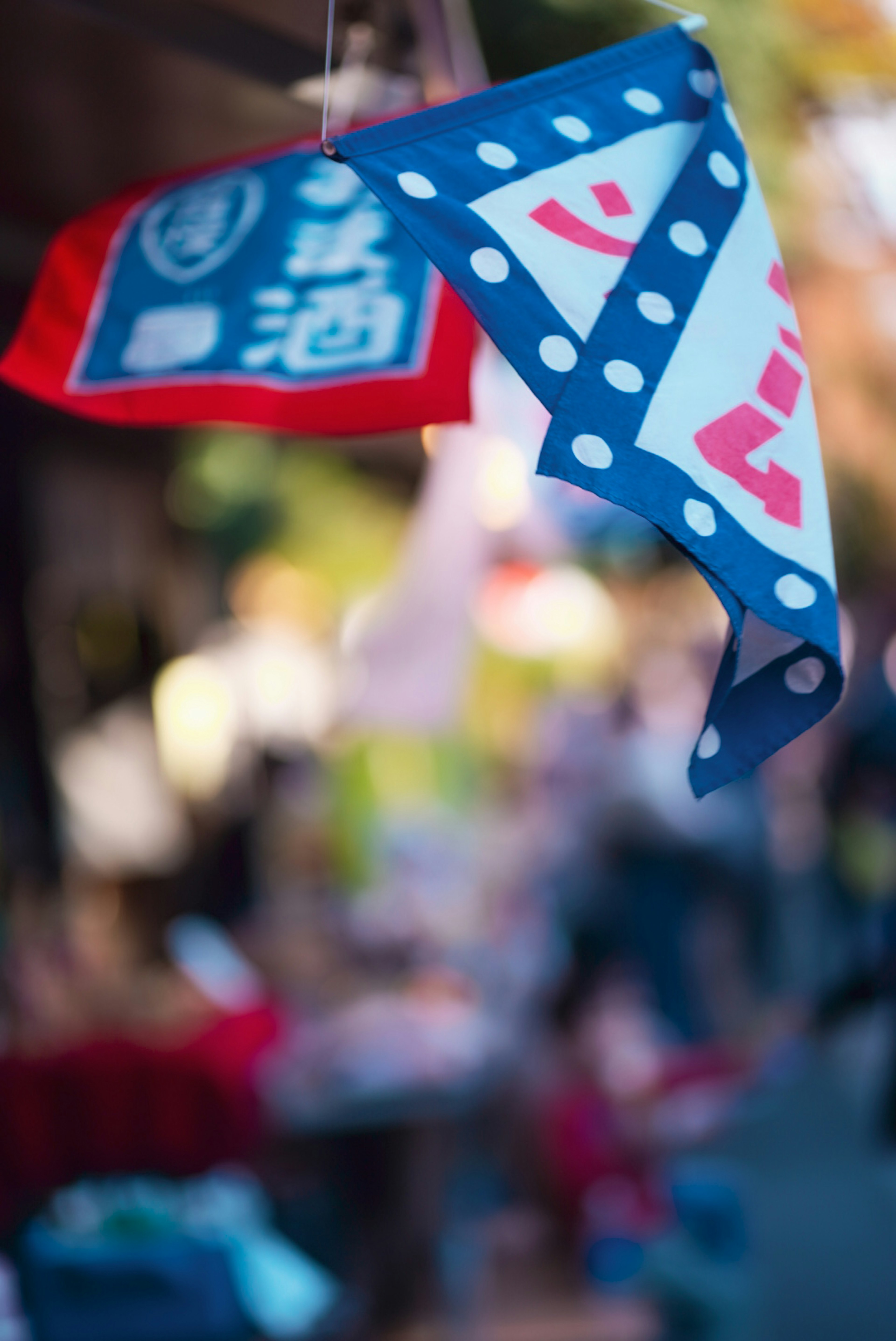 Blue and red flags waving in the breeze at a shopping street