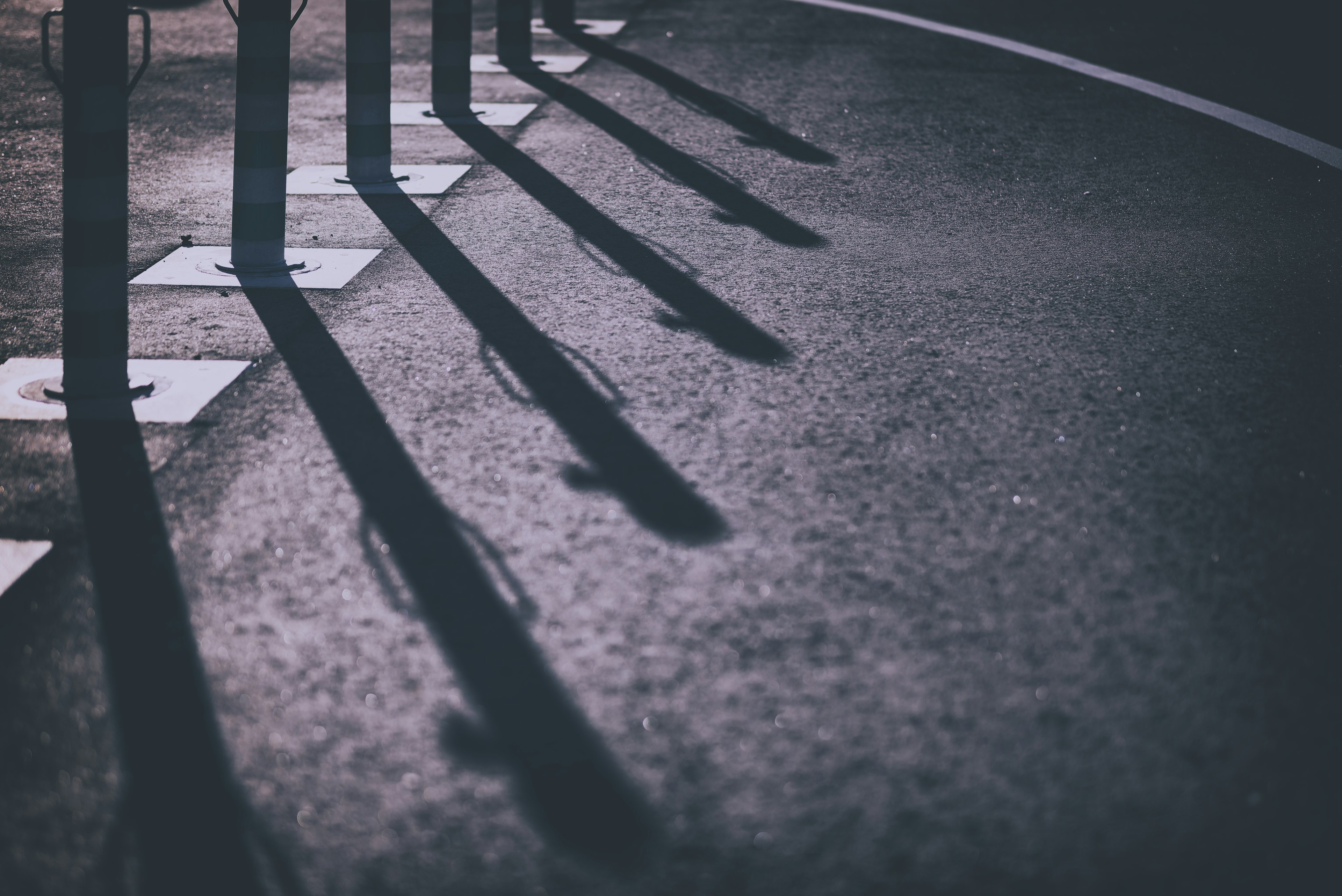 Long shadows cast on a paved road with a row of metal poles