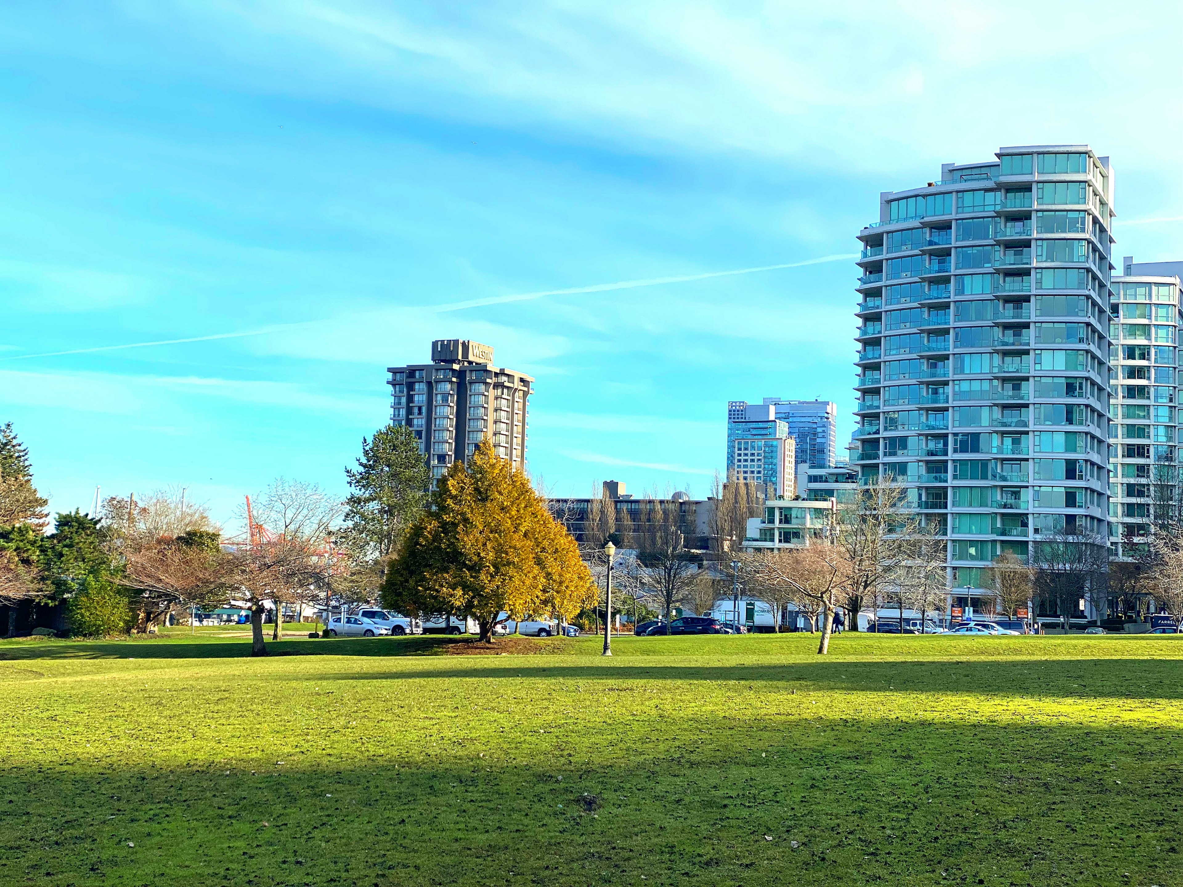 Herbe verte du parc avec des immeubles en arrière-plan et ciel bleu dégagé