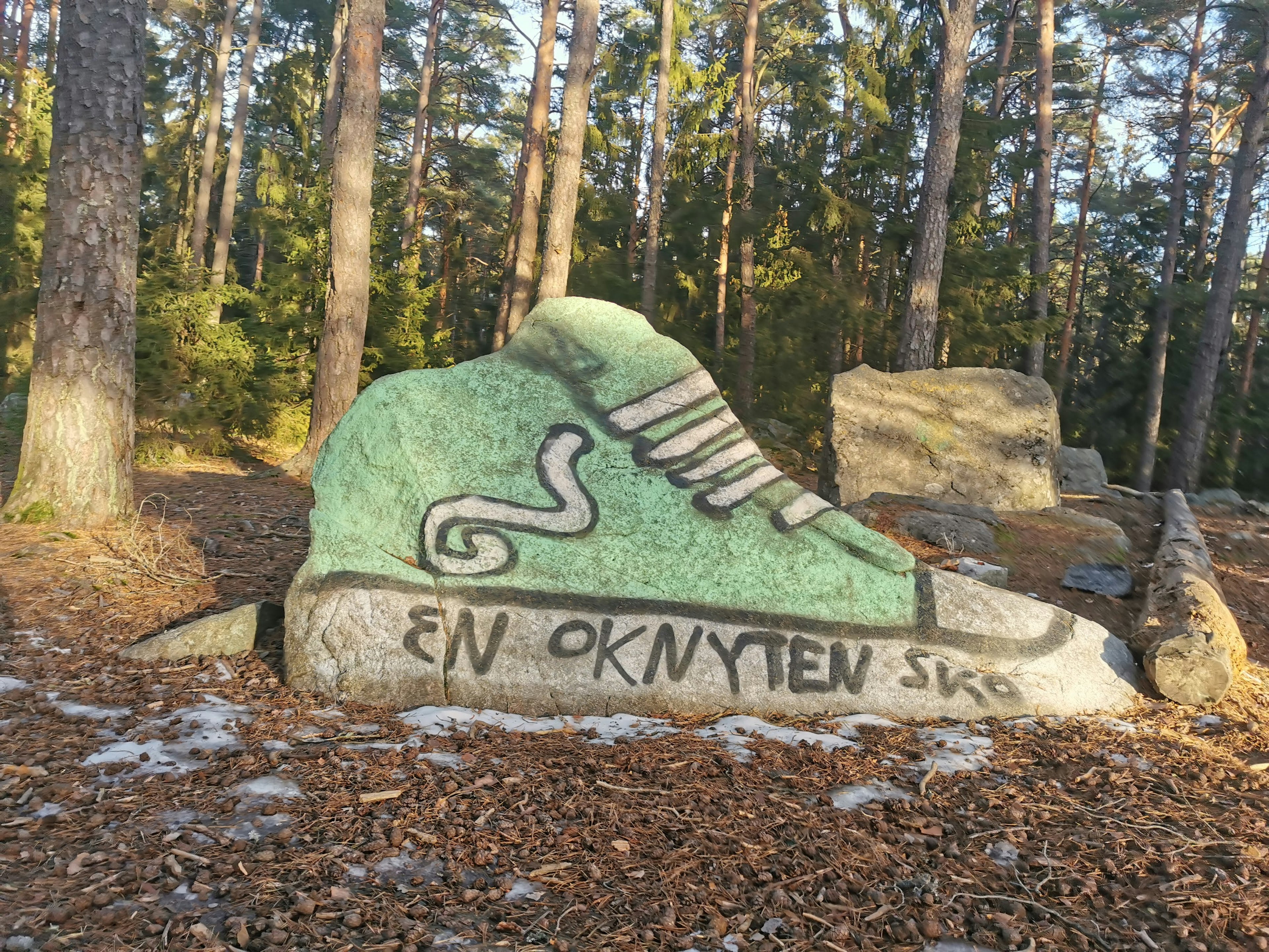 Une roche en forme de sneaker verte avec du texte dans un cadre forestier