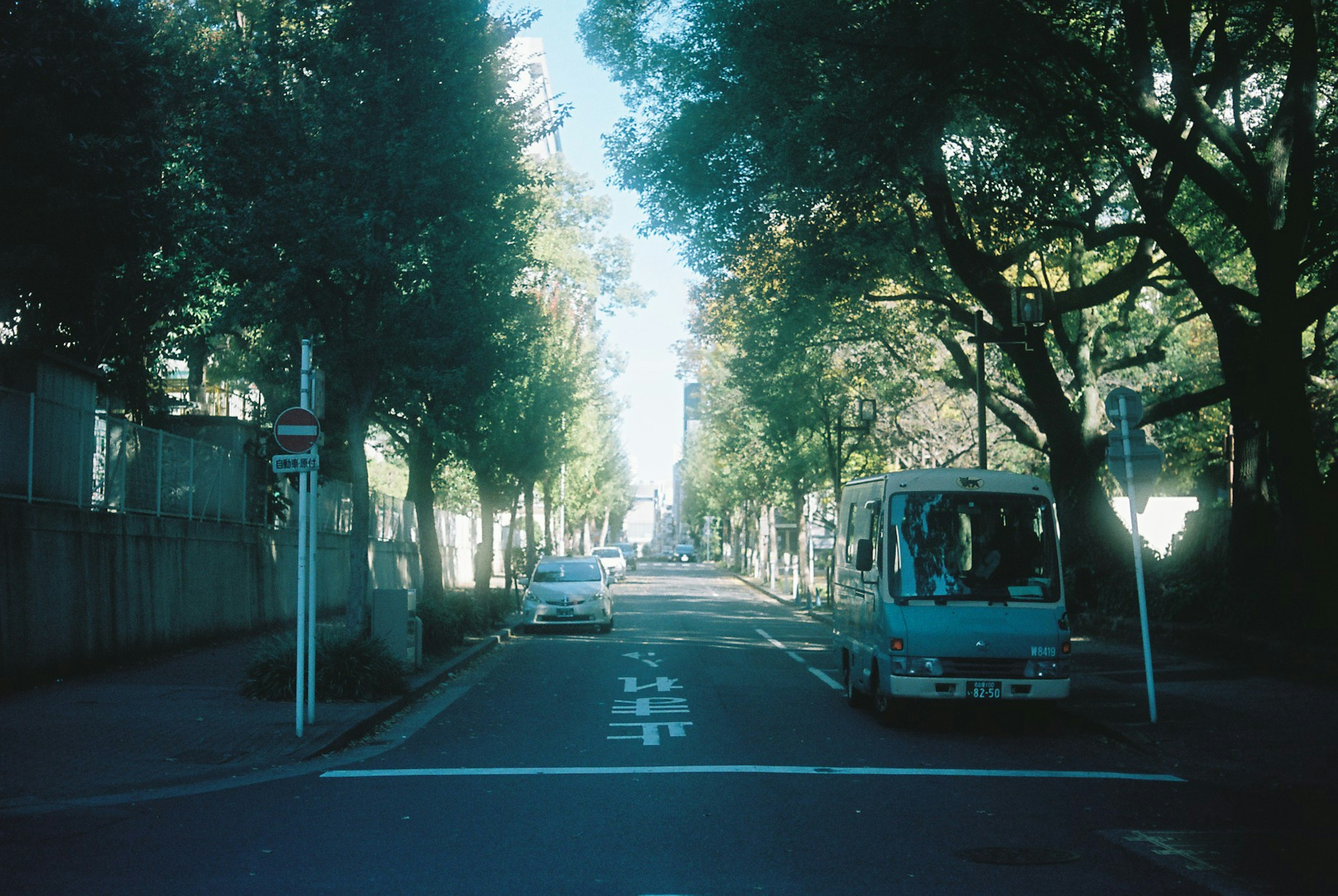 Quiet street lined with green trees featuring a blue van and a white car