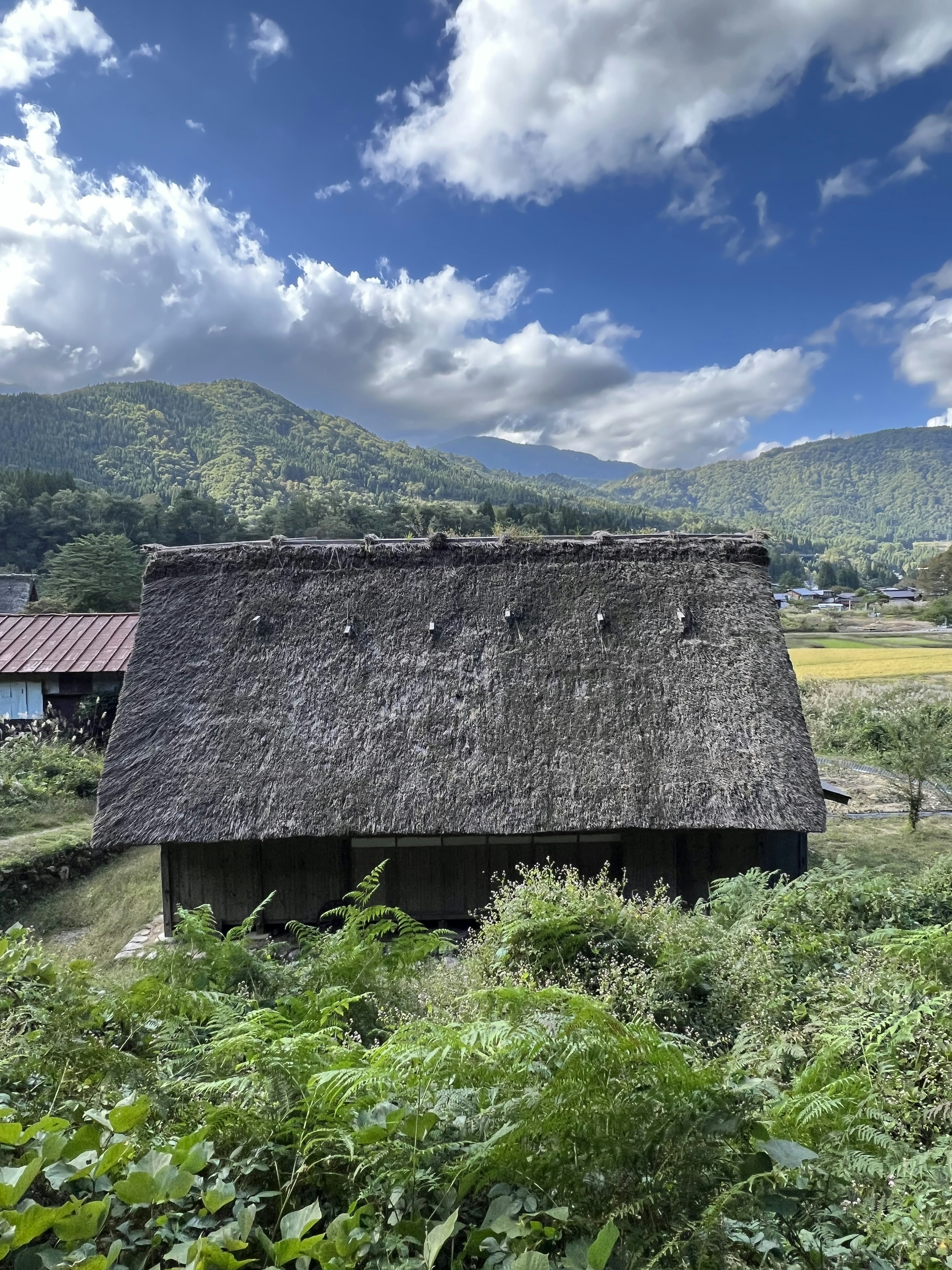 Maison traditionnelle à toit de chaume devant des montagnes et un ciel bleu