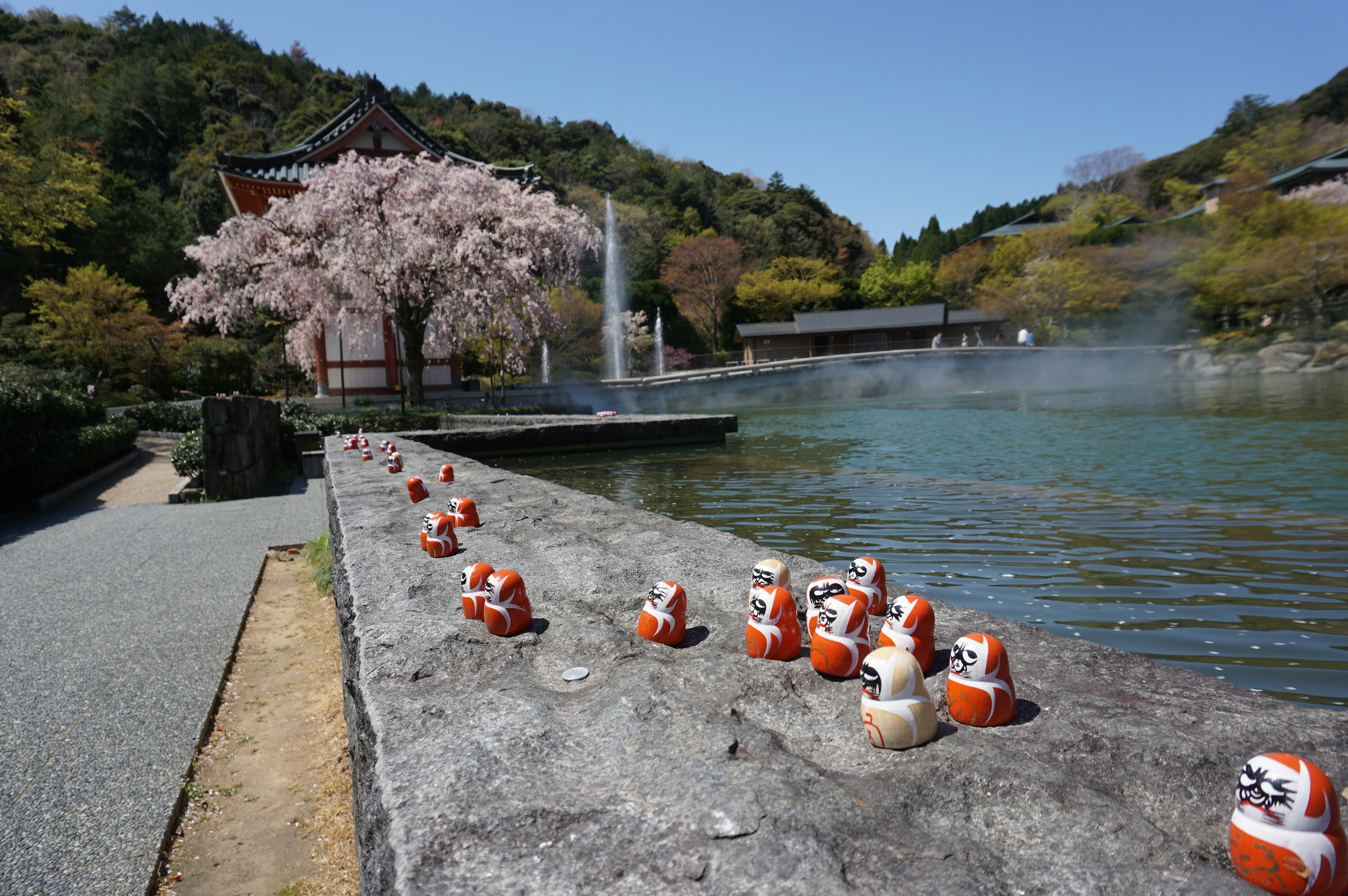 Una vista panoramica con un albero di ciliegio e una fila di bambole daruma vicino all'acqua