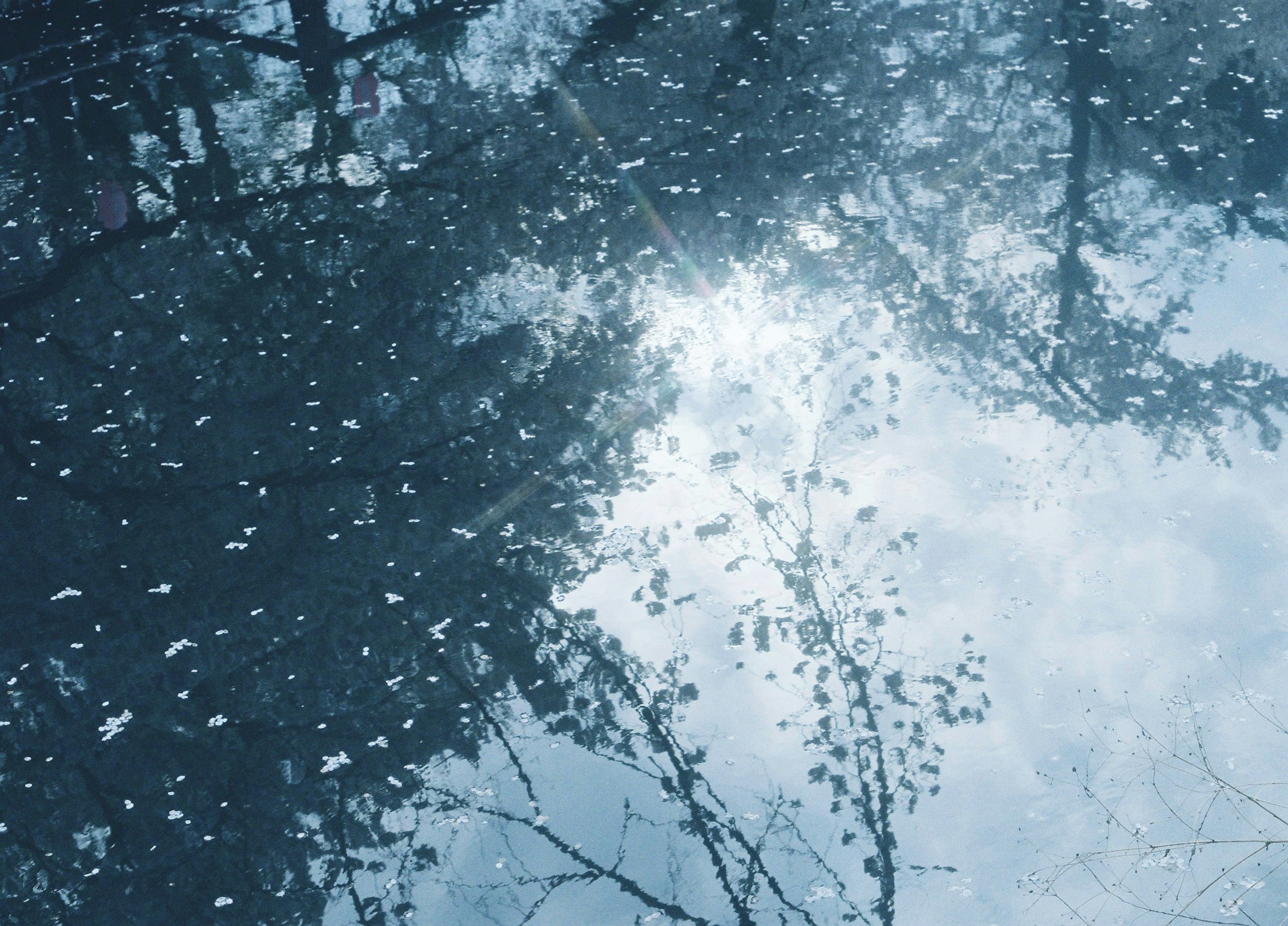 Calm scene of trees and sky reflected on the water surface